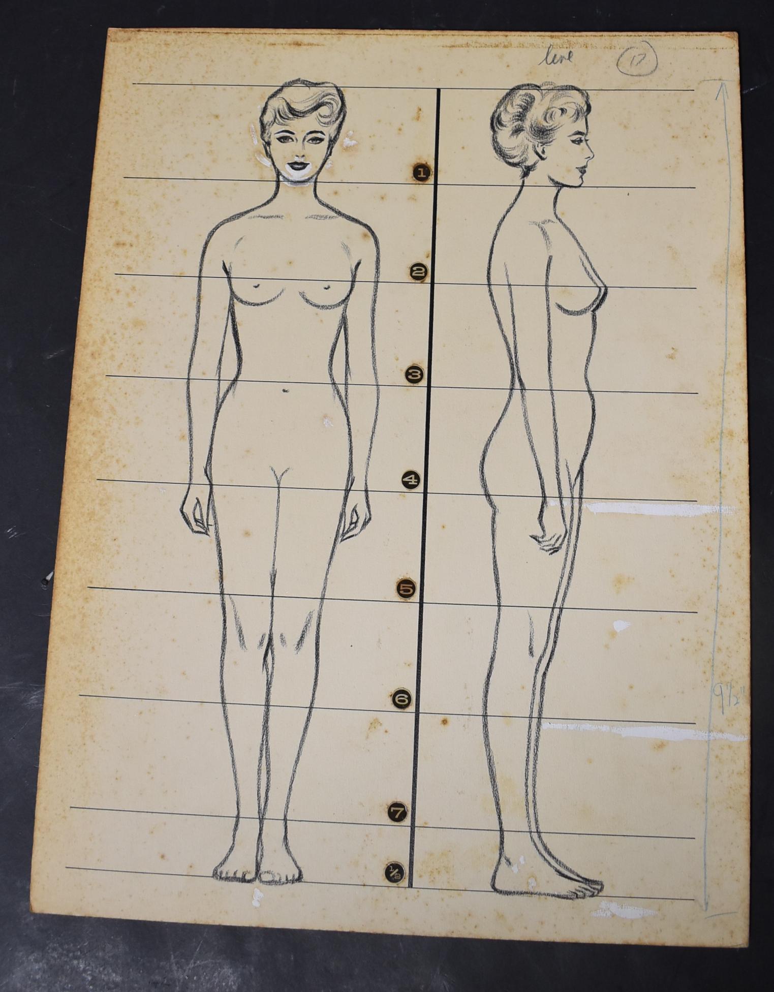 Tony Floreani Original Illustration: Illustration For The Book "The Human Figure " Authors Tony Floreani & Bunny Yeager (1) Illustration 16x12 Of Nude Woman Front View and Side View