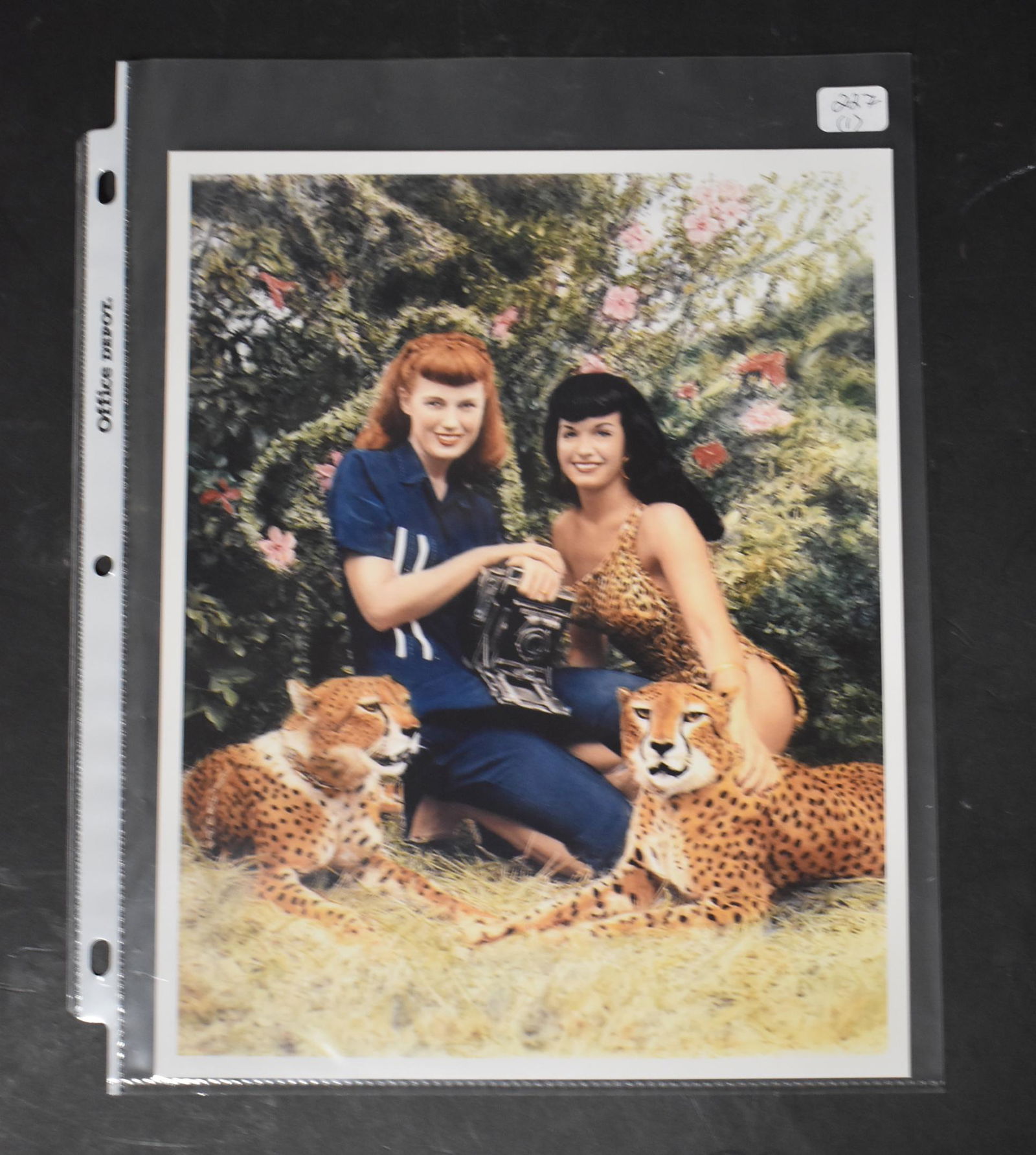 Bunny Yeager & Bettie Page with Cheetahs: In Jungleland, Bunny Yeager with her camera in the color photo Double stock 8 x 10
