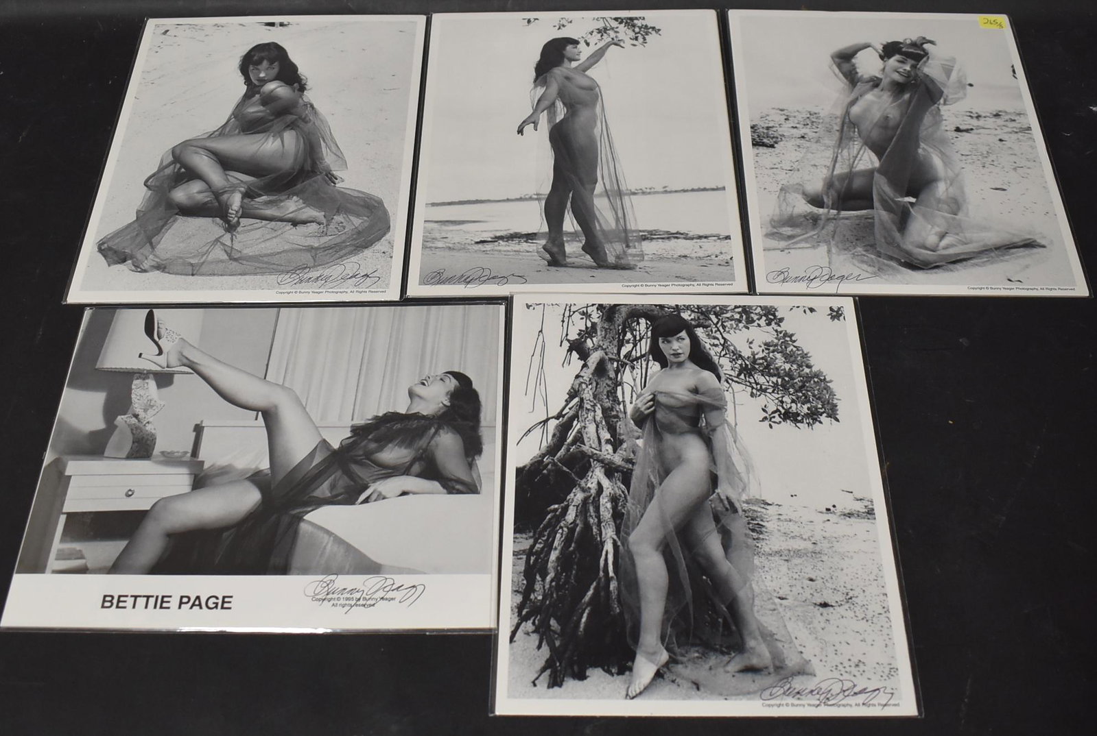 Sgd. Bunny Yeager Bettie Page Photos (5): Bettie Page in sheer outfit. 5 total. 8 x 10.