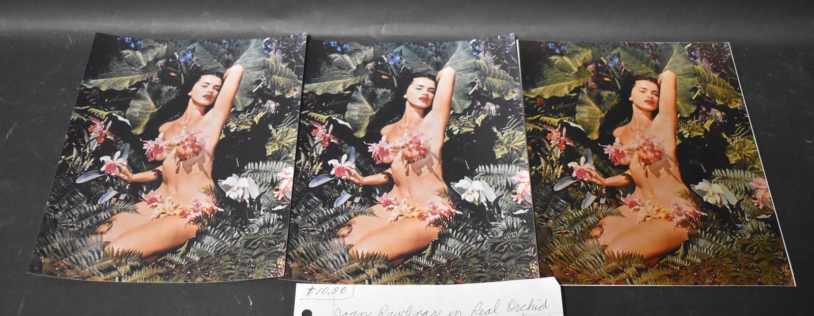 Bunny Yeager Model Joan Rawlings Photos (3): (3) 8x10 Double Stock. Colored Photos, In Real Orchid Bikini. By Bunny Yeager At Caribbean Gardens In Naples Florida 1950's. Also Includes Handwritten Note By Bunny Yeager