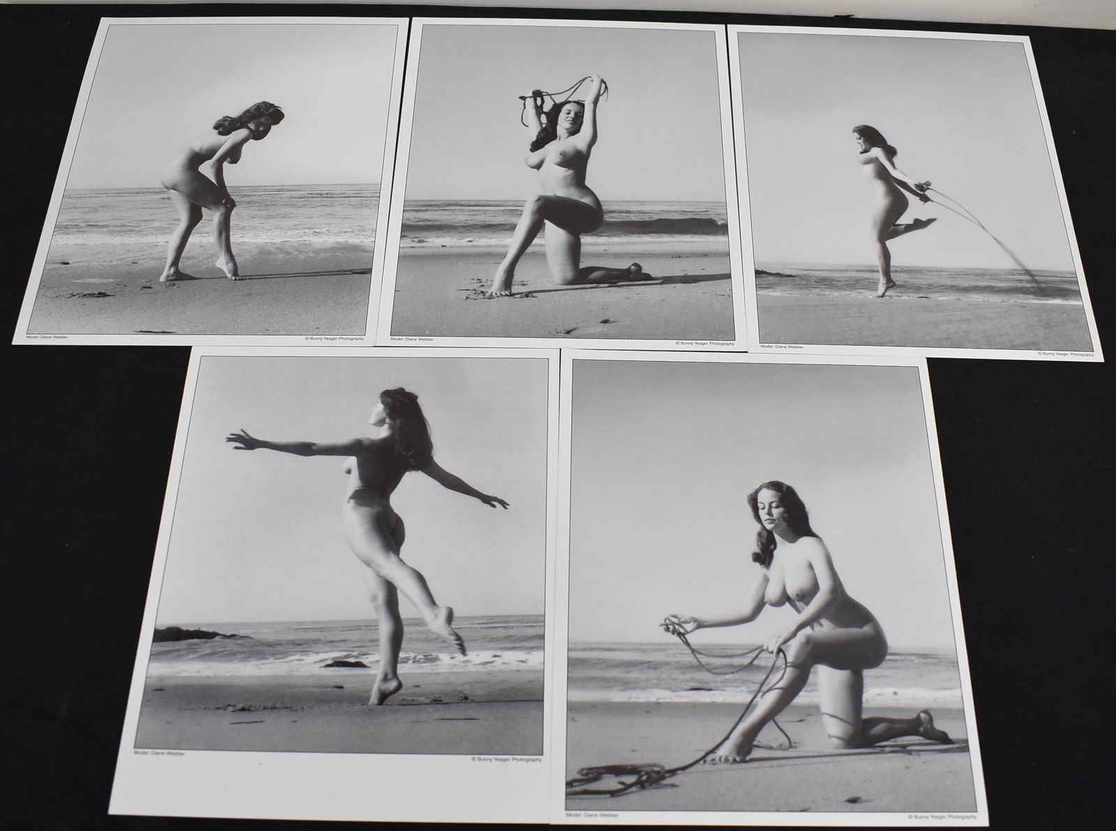Diane webber photos