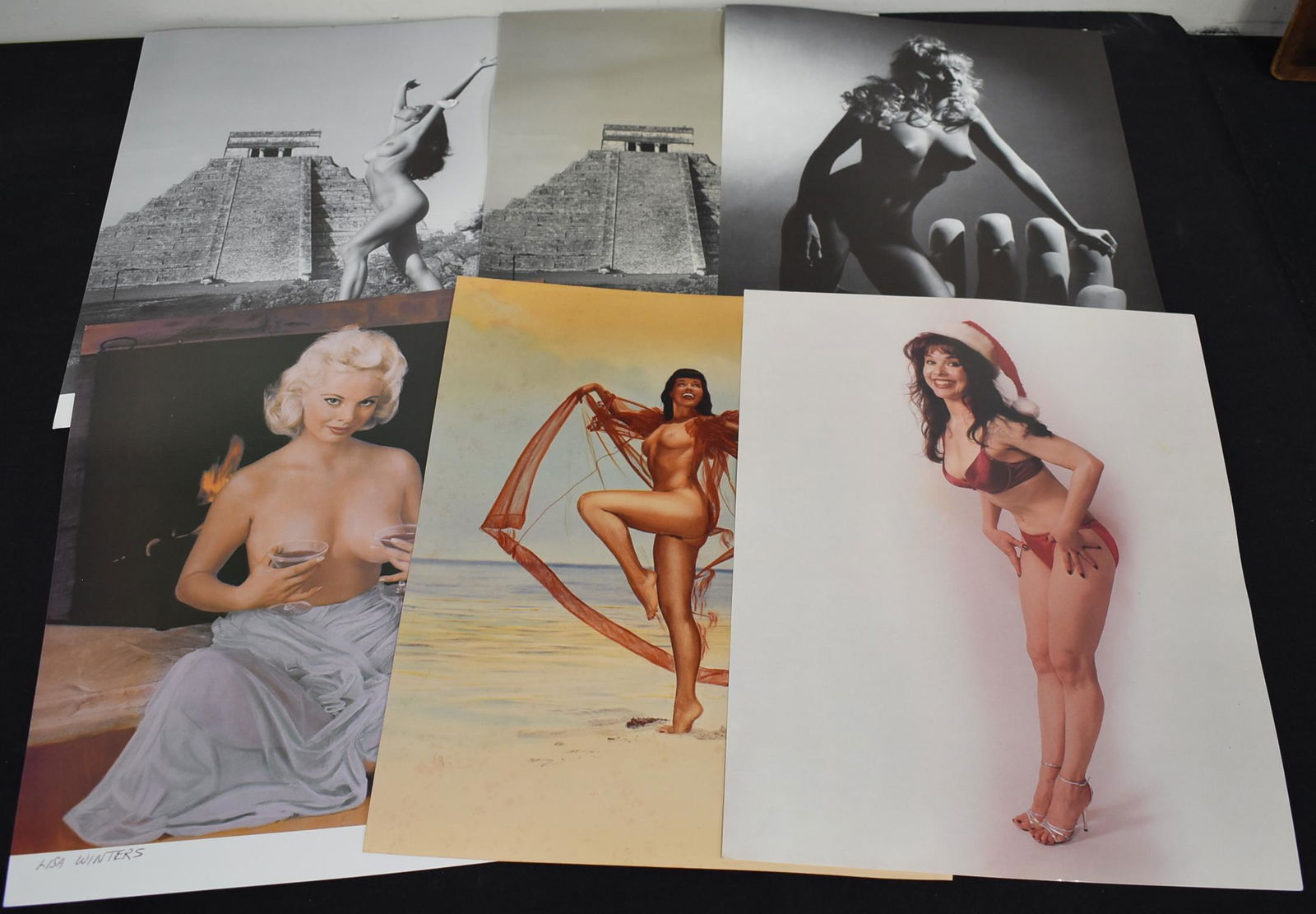 (6) Posters of Various Models (1 of 3)
