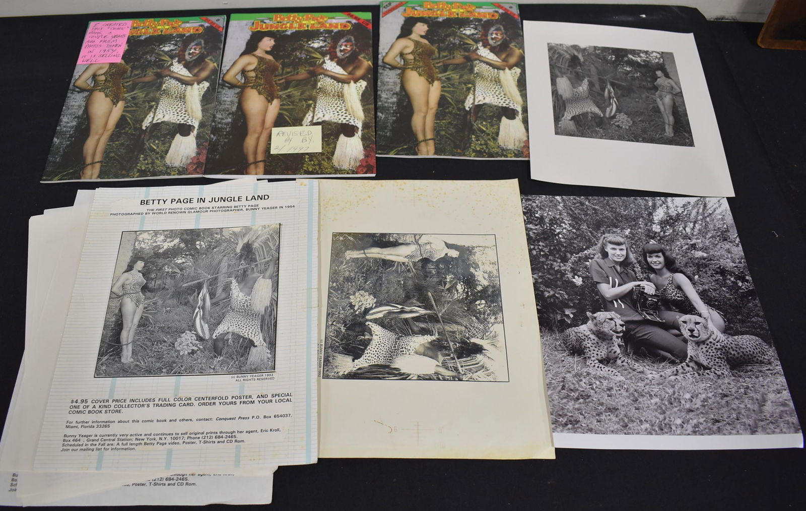 Bettie Page in Jungle Land (1 of 1)