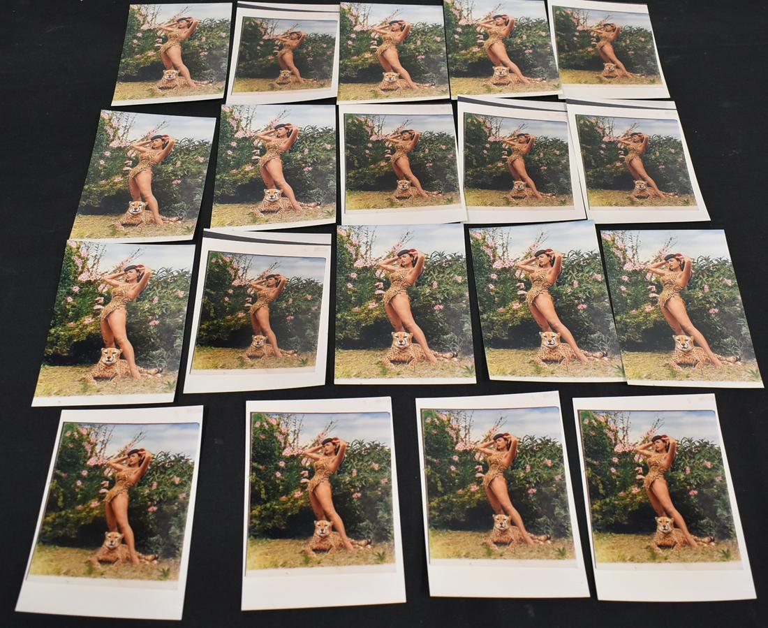 (19) 4x5 Photos Bettie Page: All The Same Pose In Jungle Land