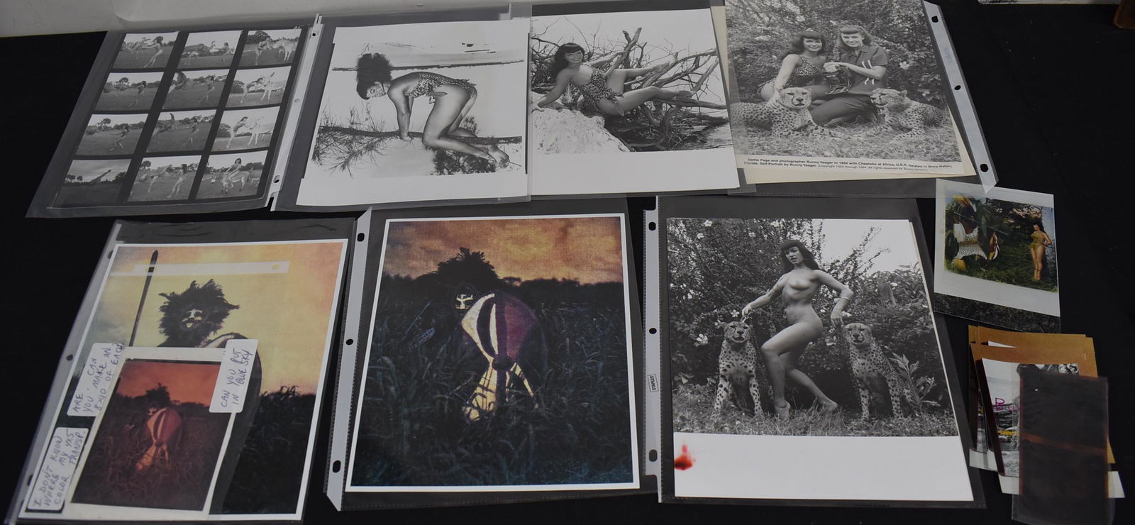 Lot Of Jungle Land Photographs & Negatives (20+) (1 of 1)
