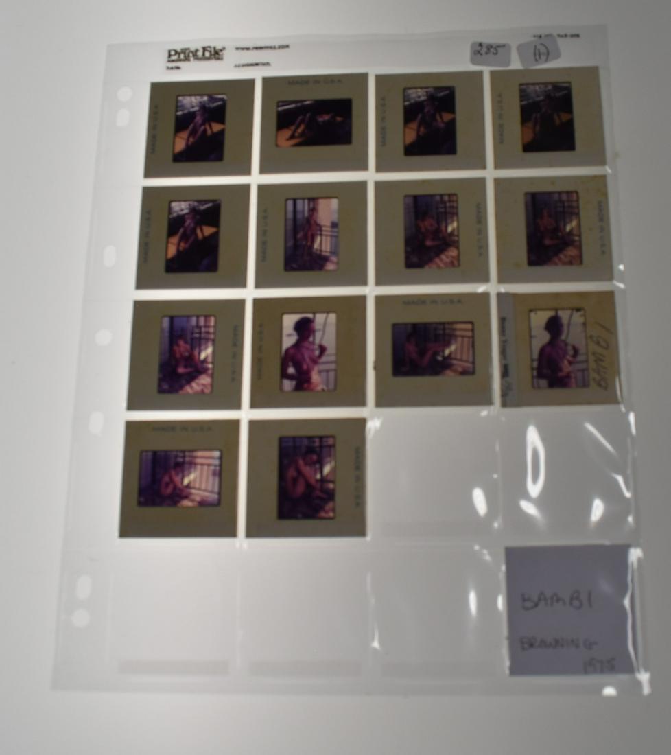 (14) Slides: Model Bambi Browning 1975 (1 of 3)