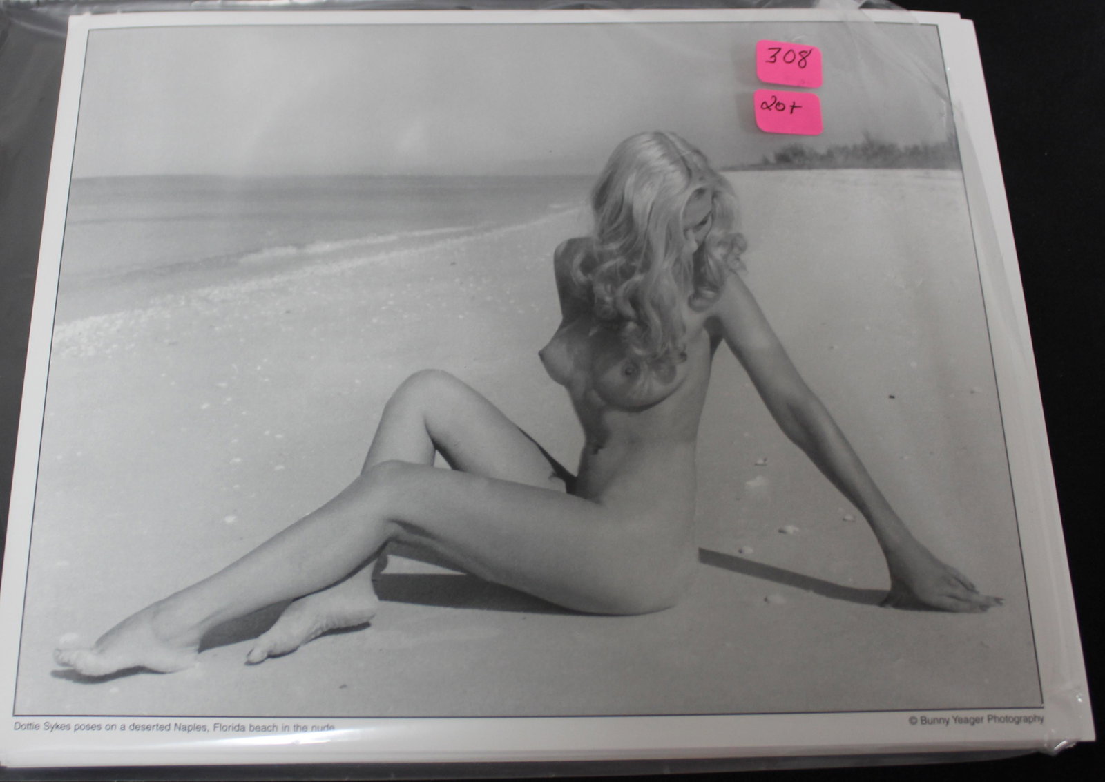 (20) + Photos Model Dottie Sykes: 8x10 Double Stock Dottie Sykes Nude On Beach By Bunny Yeager