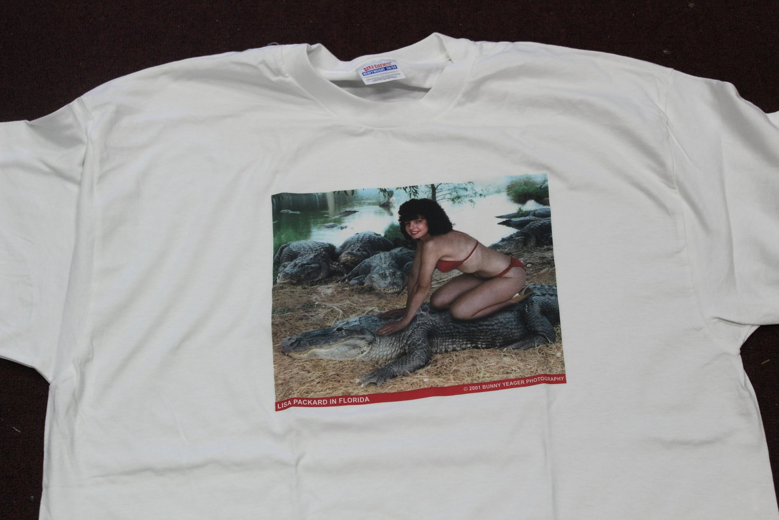 Lisa Packard T-Shirts (8): 8 in the lot. All the same shirt. Includes sizes Medium, Large, and XLarge.