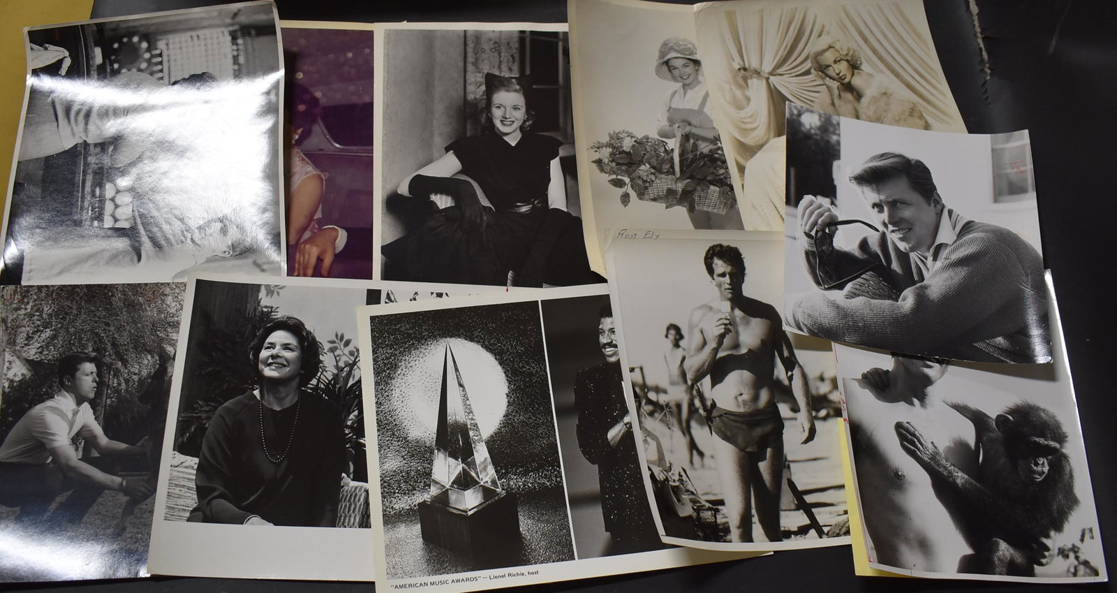 Vintage Movie Photos (11): Jan Sterling by Lucas Pritchard with back stamp. Laura Patten. Lana Turner. Ron Ely as Tarzan (2) with back stamps & others. Mostly 8 x 10.