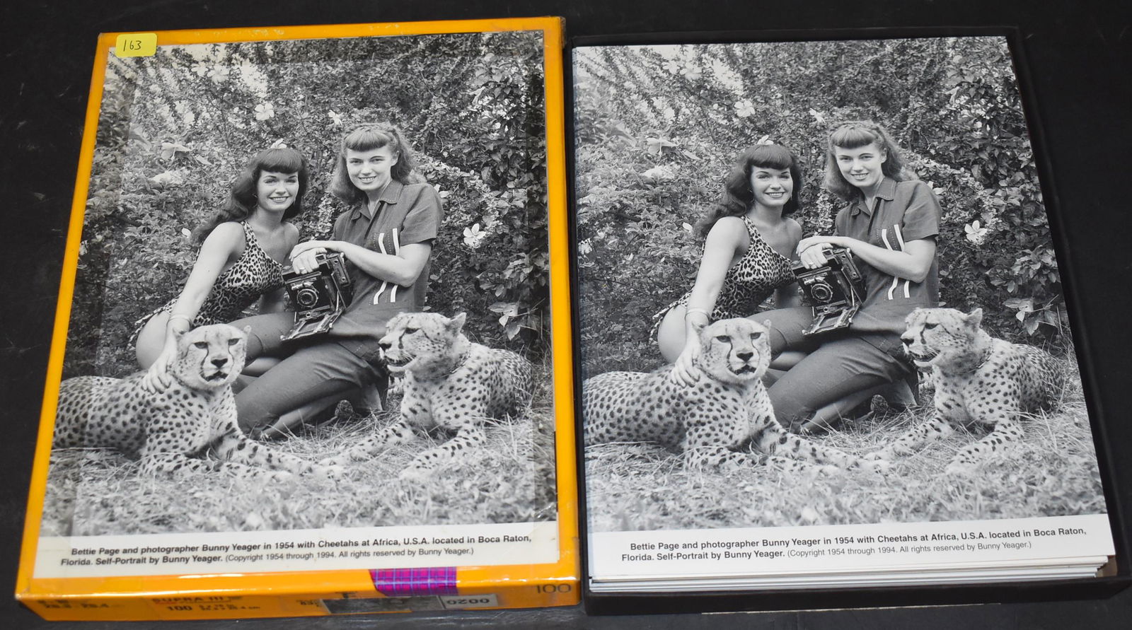 Bettie Page & Bunny Yeager Photos (100) (1 of 1)