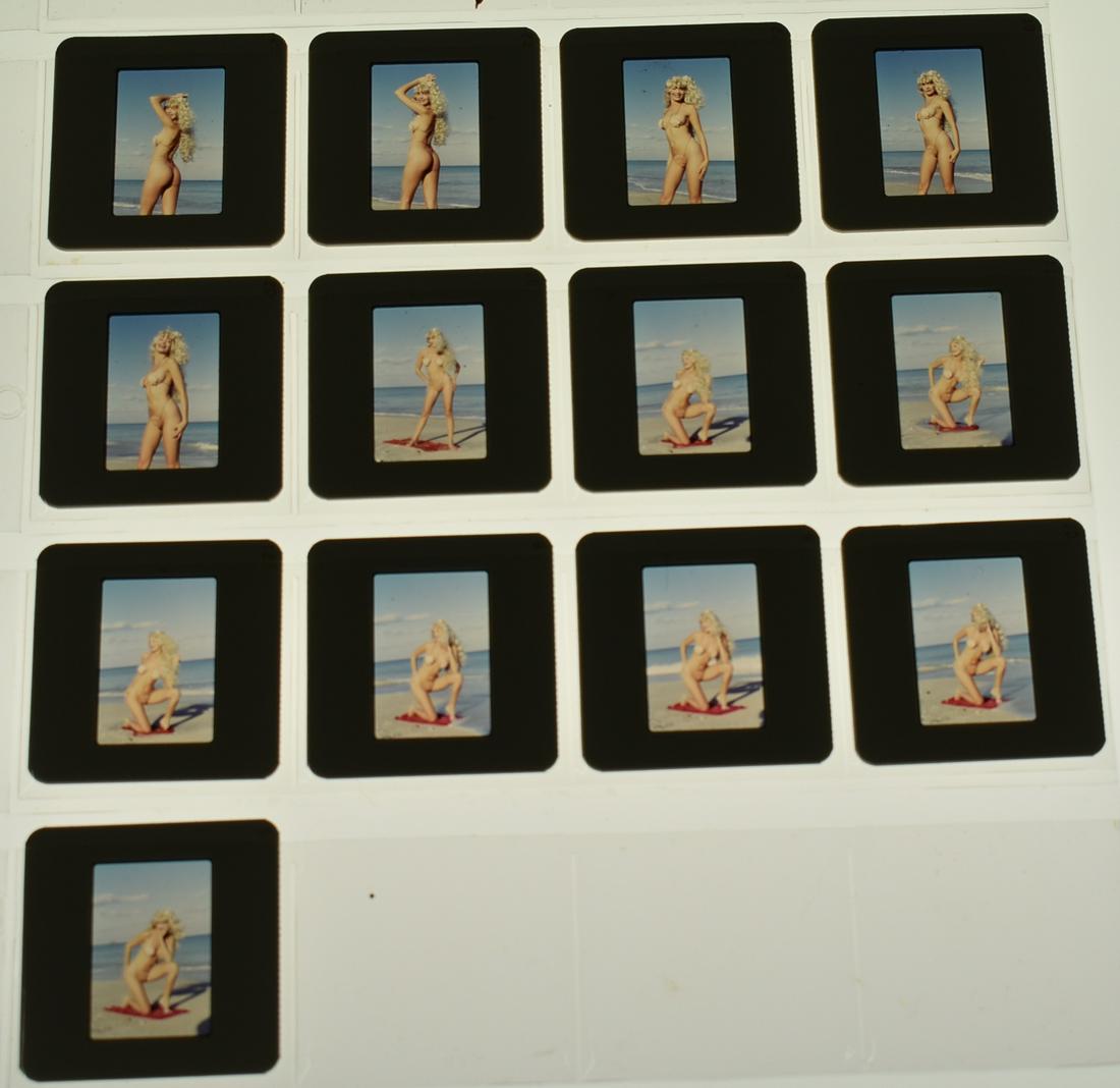 Nicolette York Photo Slides (13): 13 slides of Nicolette York in a clamshell bikini.