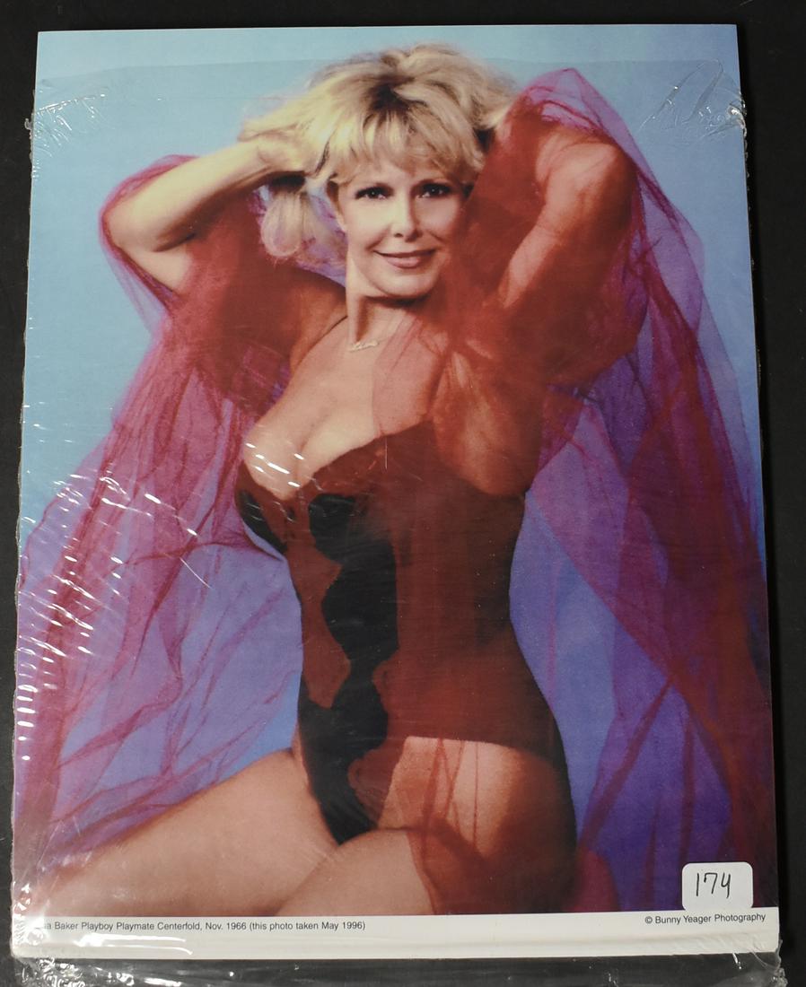Lisa Baker Bunny Yeager Photo Pack (50) (1 of 1)