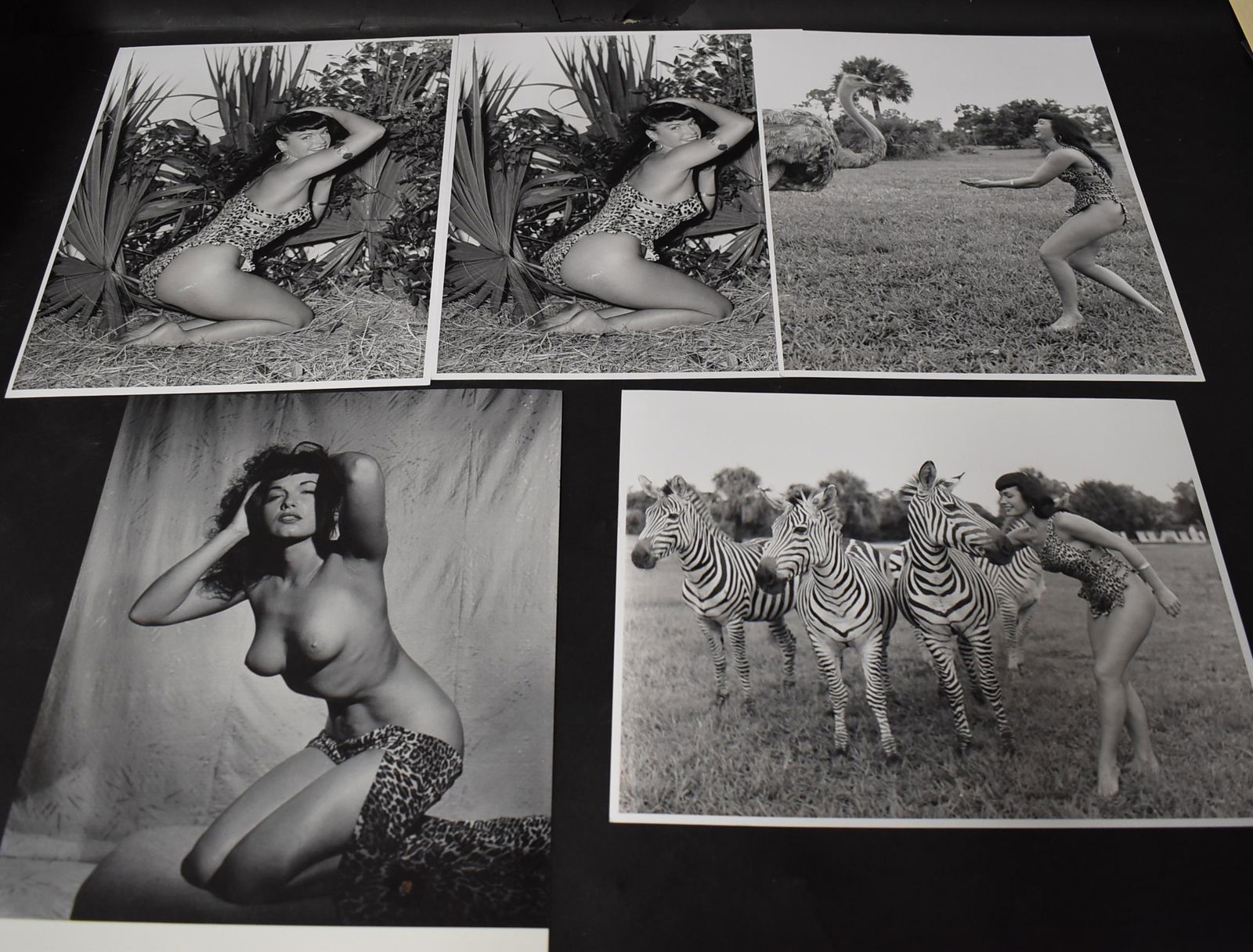 Bettie Page Oversize Photo Lot (5) (1 of 1)