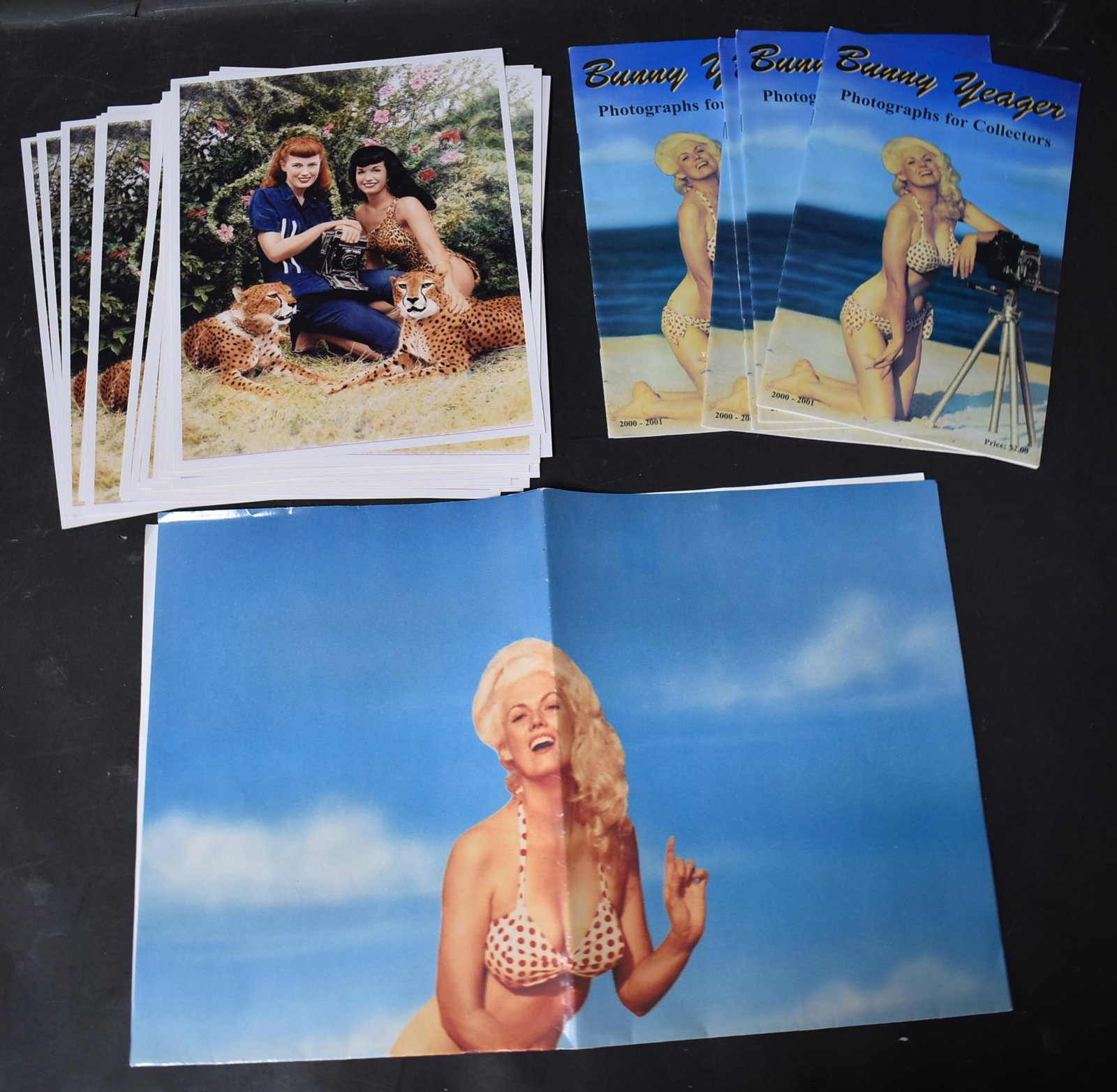 (30) Photos Bunny Yeager & Bettie Page Jungle Land: 8x10 Double Stock. (30) Photos (5) Magazines Bunny Yeagers Photographs For Collectors. Back Cover Photo Bunny Yager & Bettie Page In Jungle Land . 17x22 Poster Of Bunny Yeager. Same Photo On Cover Of 