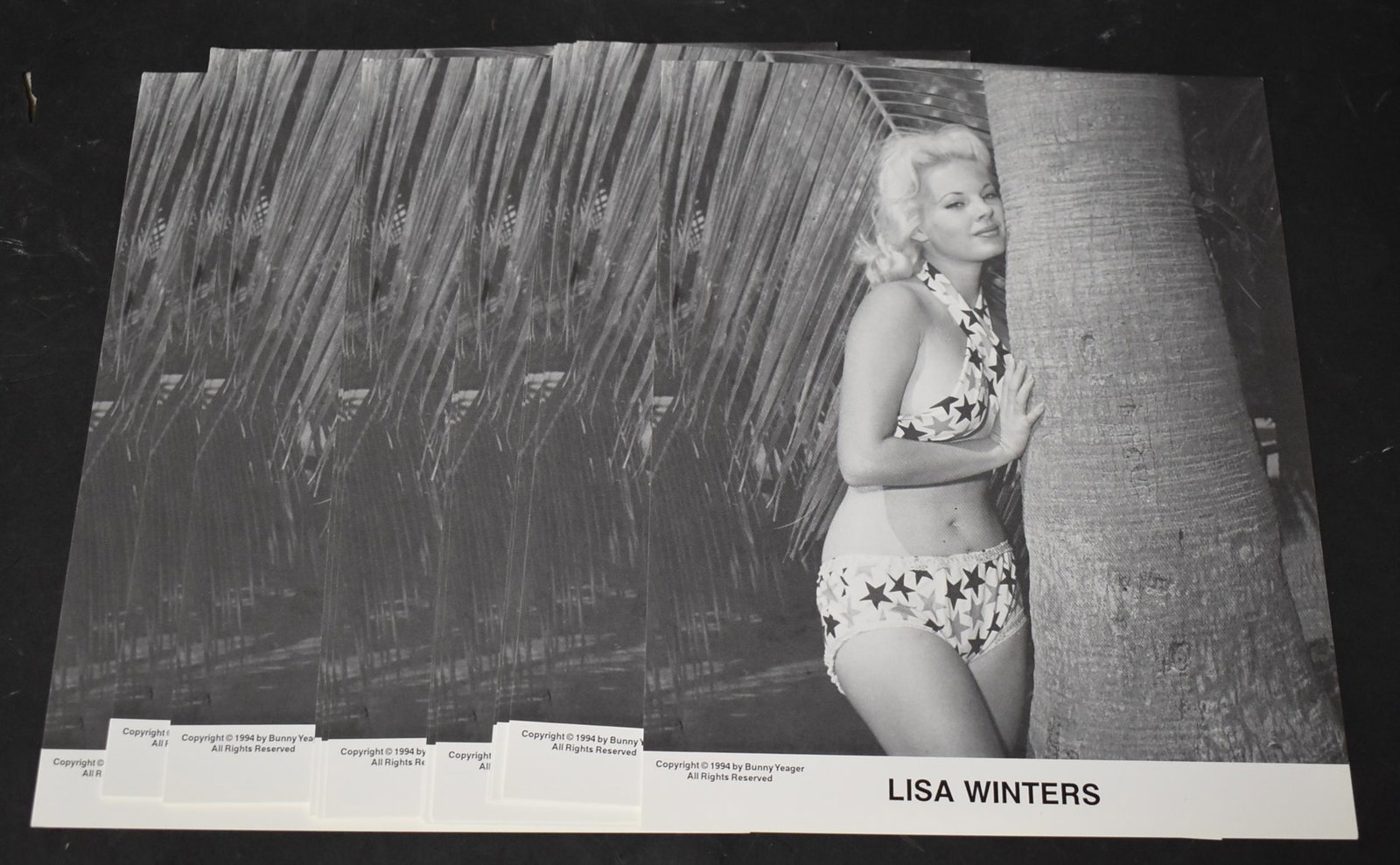 (25) Lithos Of Lisa Winters By Bunny Yeager: 8x10 (25) Lithos Of Lisa Winters. All The Same Pose By Bunny Yeager Photography.