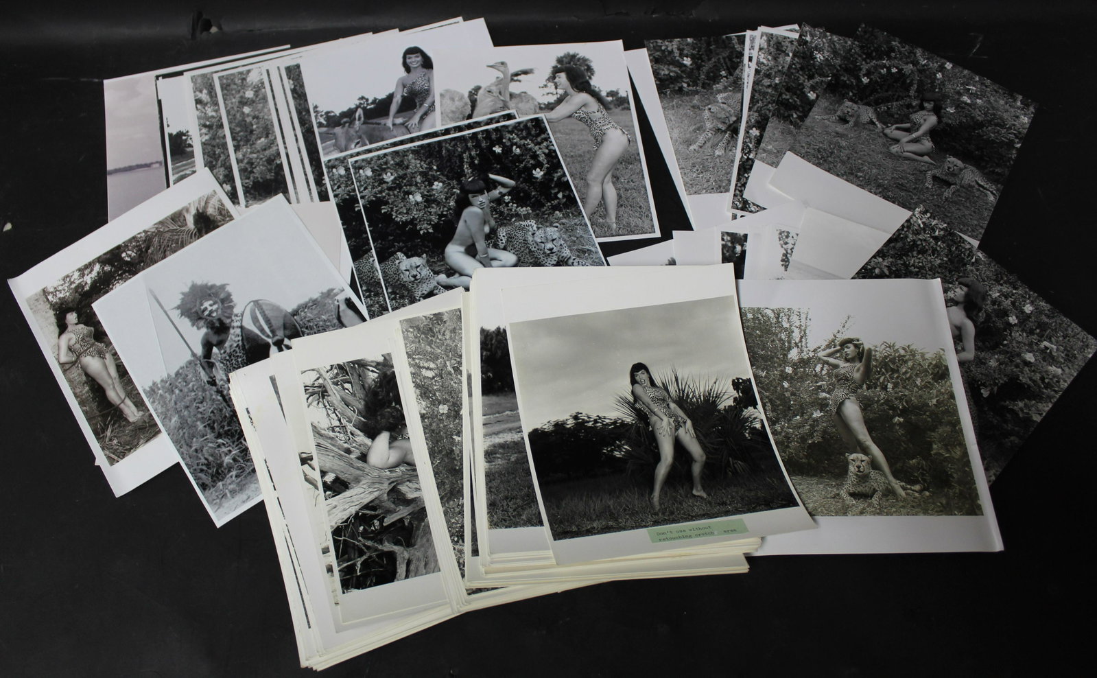 (75)+ Photos Bettie Page In Jungle Land.: 8x10 Double Stock. (75+) Photos Bettie Page In Jungle Land. Stamped On Back Bunny Yeager Photography.