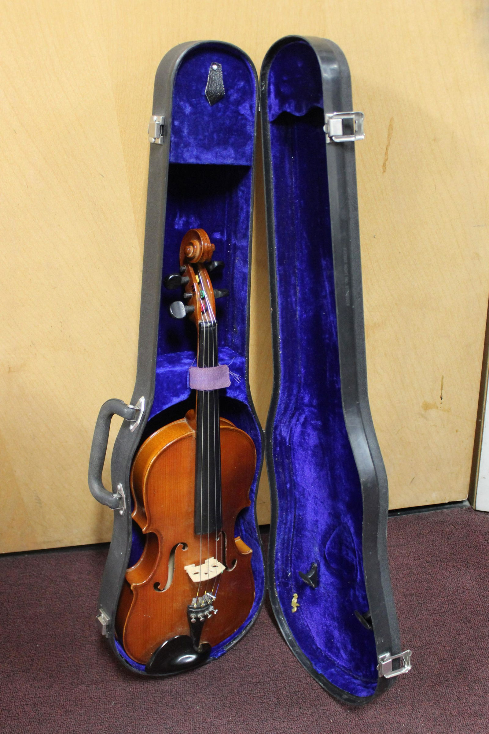 Skylark Violin in Case (1 of 3)