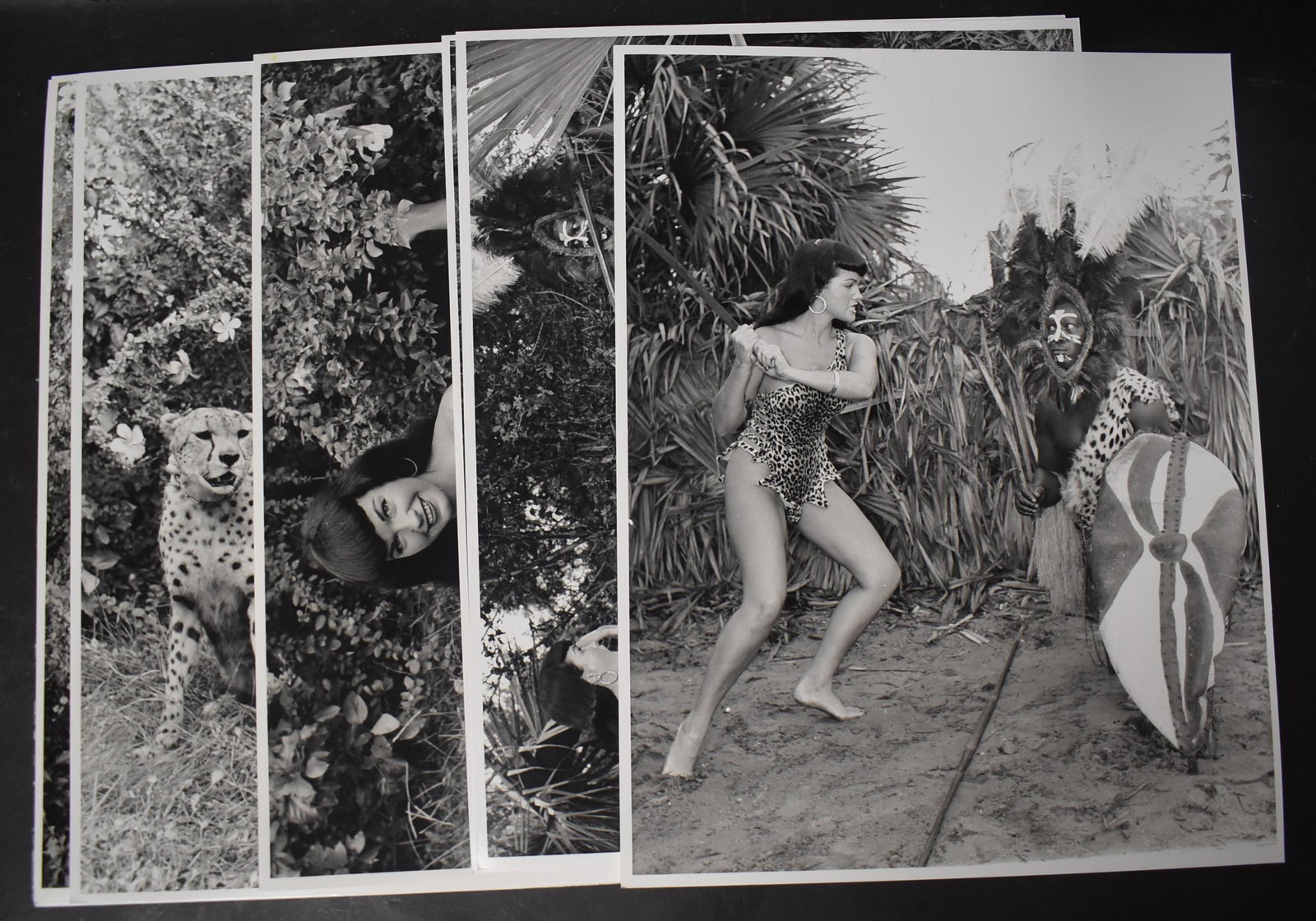 (8) 11x14 Poster Size Photos. Bettie Page In Jungle: (8) Double Stock.11x14 Photos Of Bettie Page In Jungle Land USA. All Different Poses. By Bunny Yeager Photography.