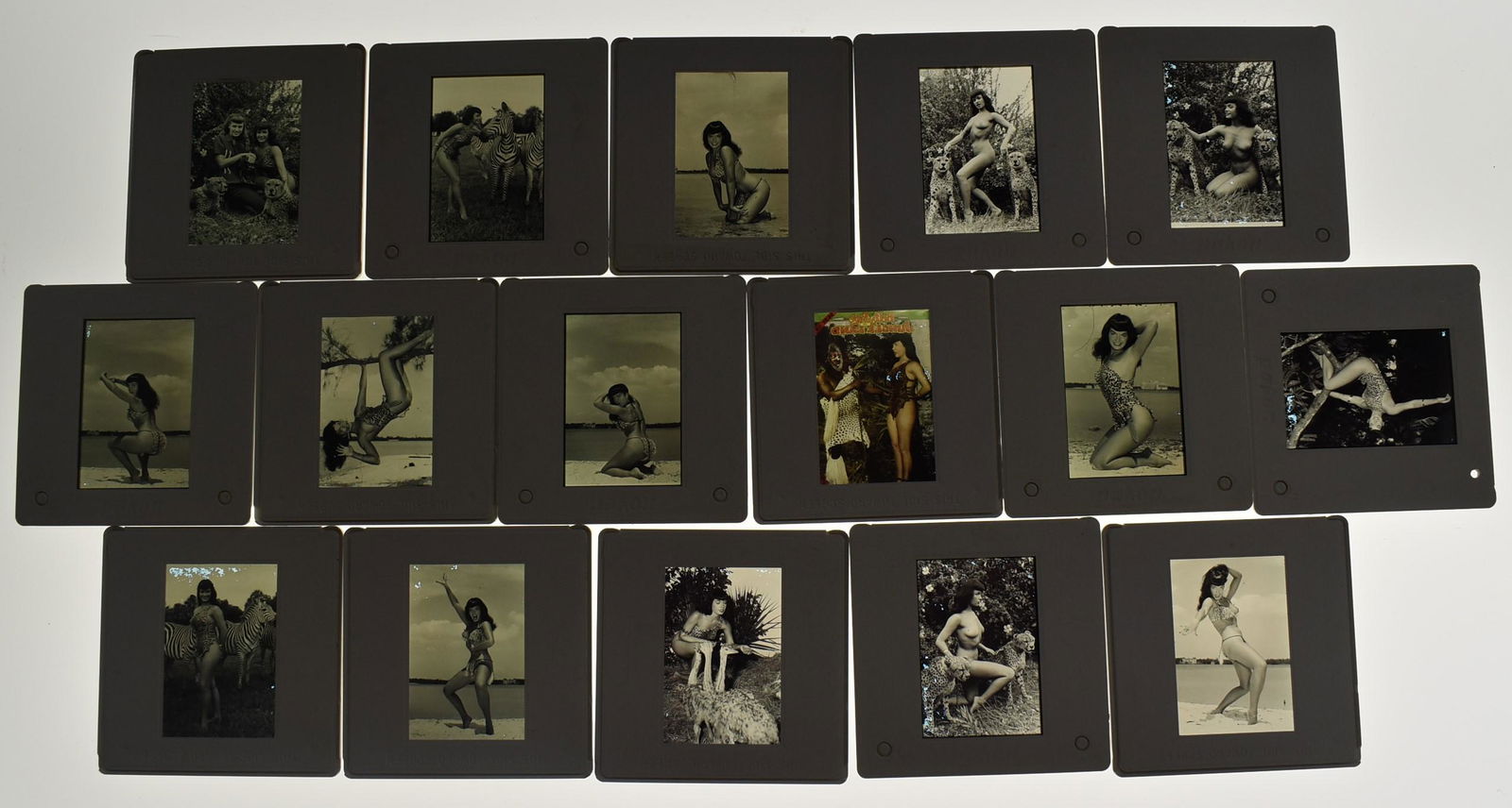 (16) Slide Transparencies Bettie Page. (1 of 3)