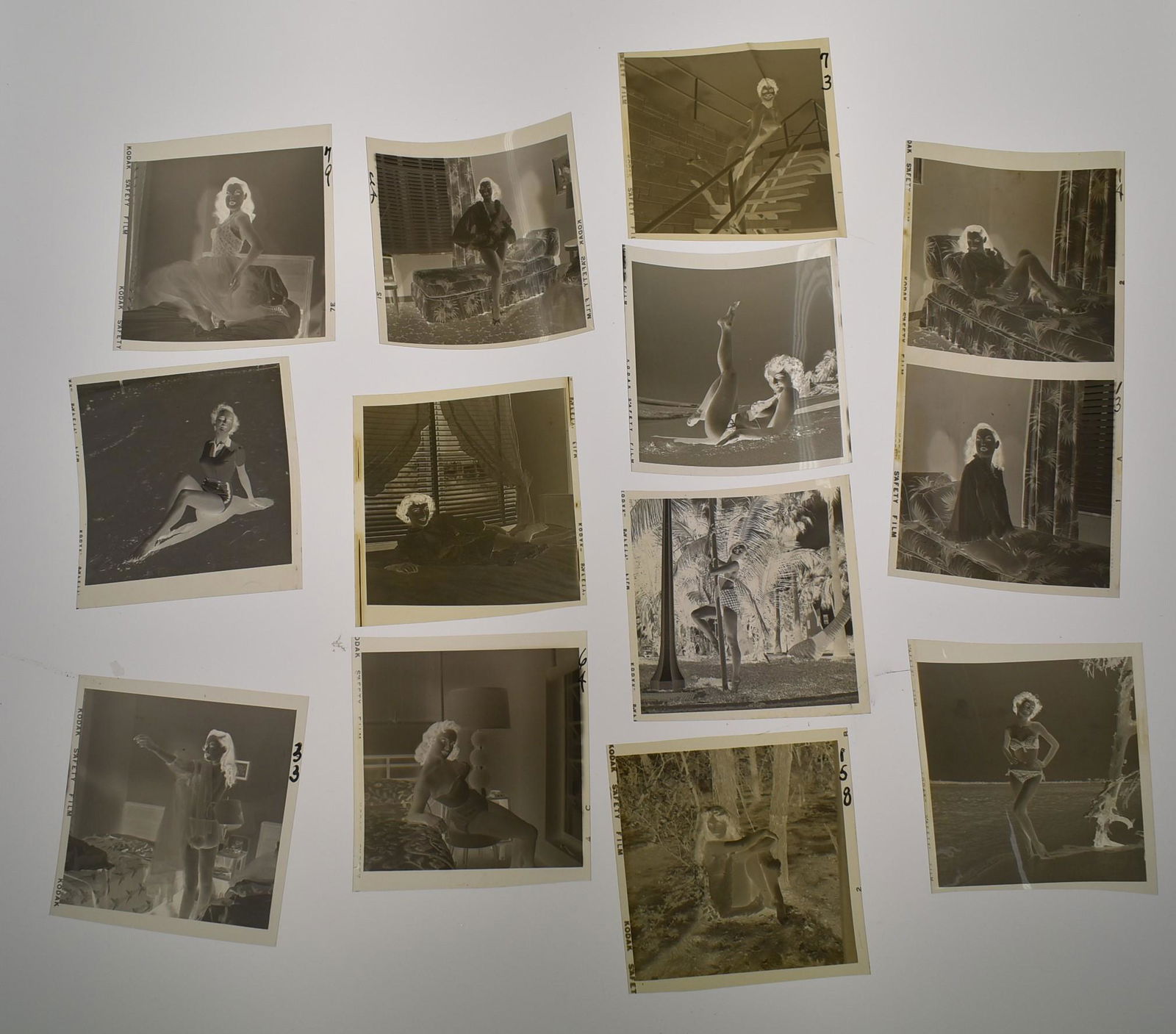 (13) Negatives (1 of 4)