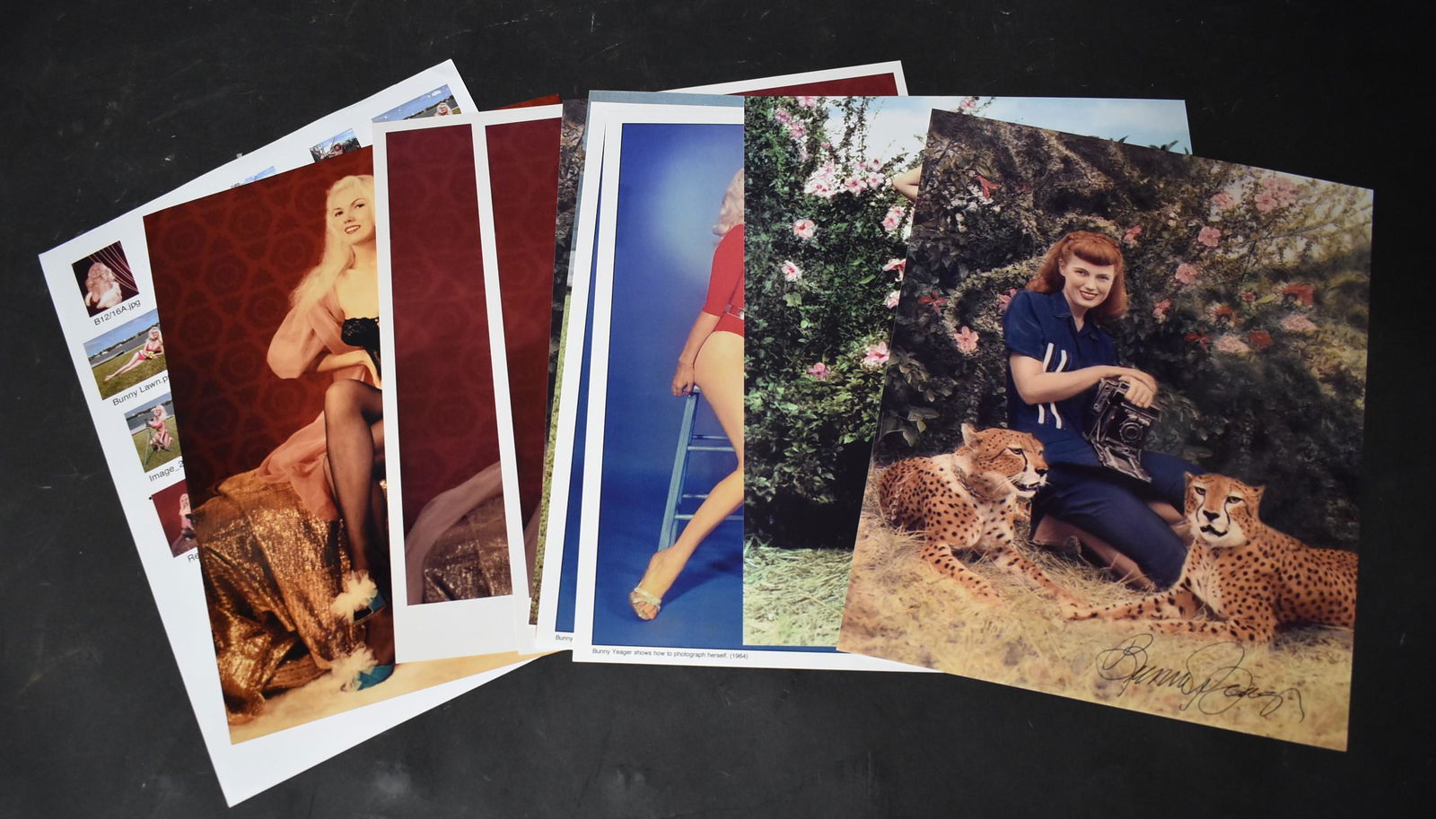 (9 )8x10 Colored Photos of Bunny Yeager. (1) Contact (1 of 3)