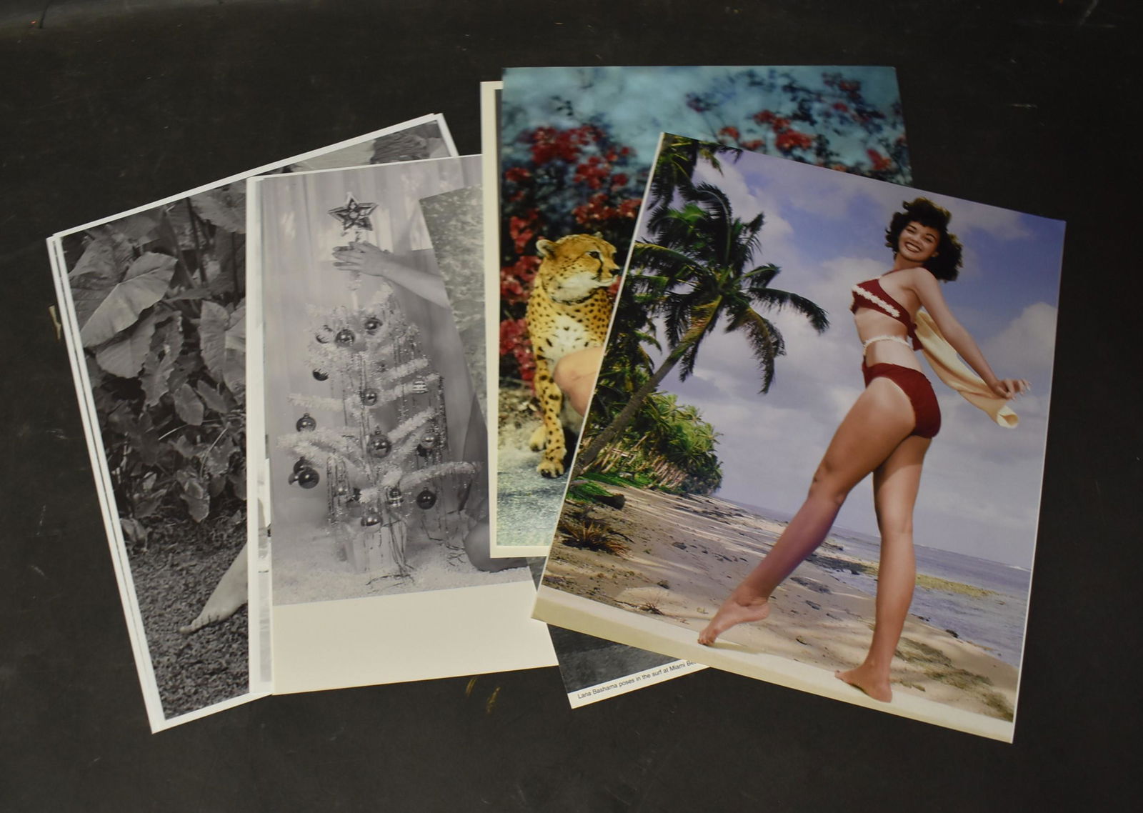 (11) 8x10 Photos. Mix Models. (2) Sgd. (1 of 3)