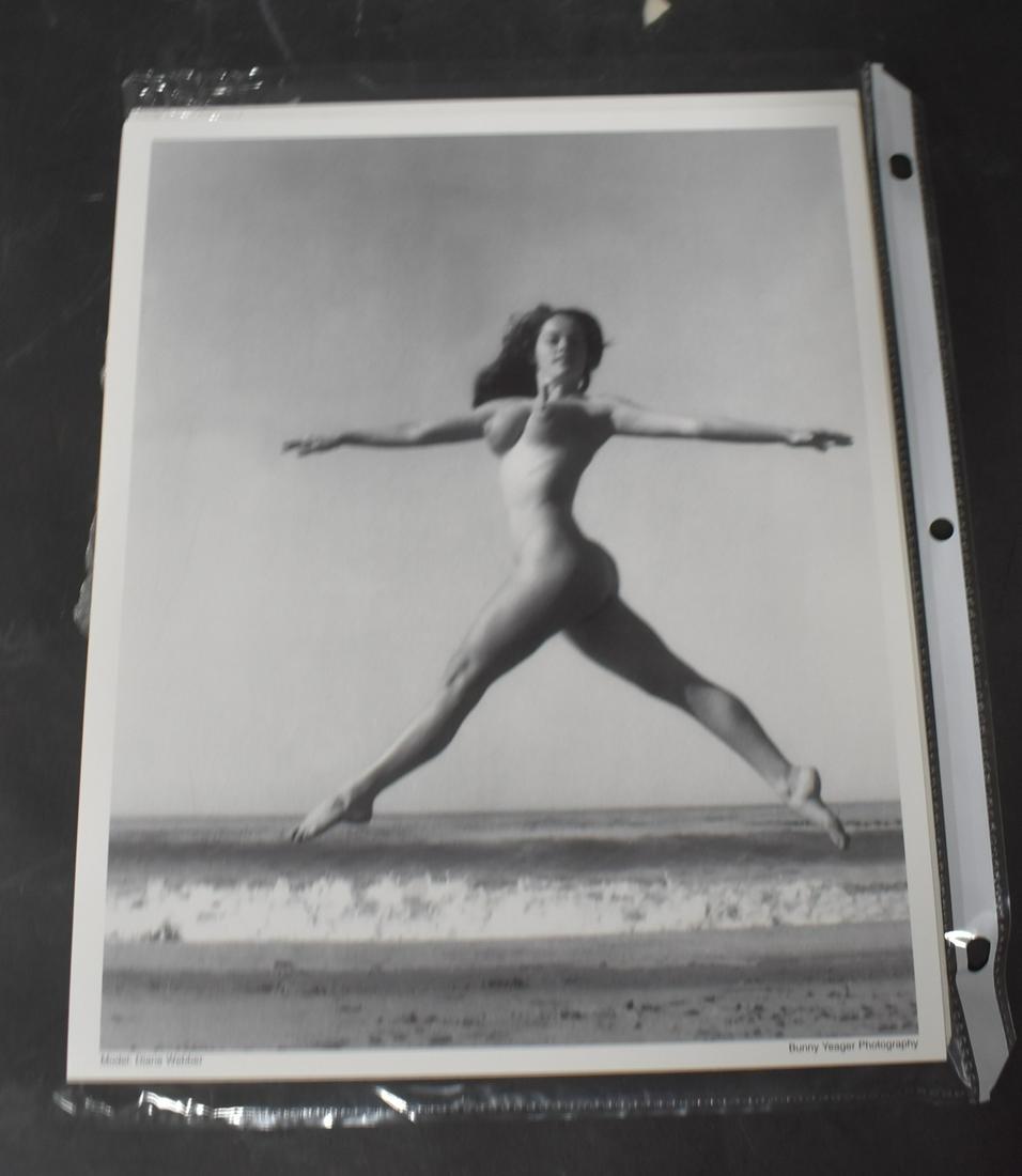 (20) 8x10 Photos.: (20) 8x10 Photos. Model Diane Webber. All The Same Pose.