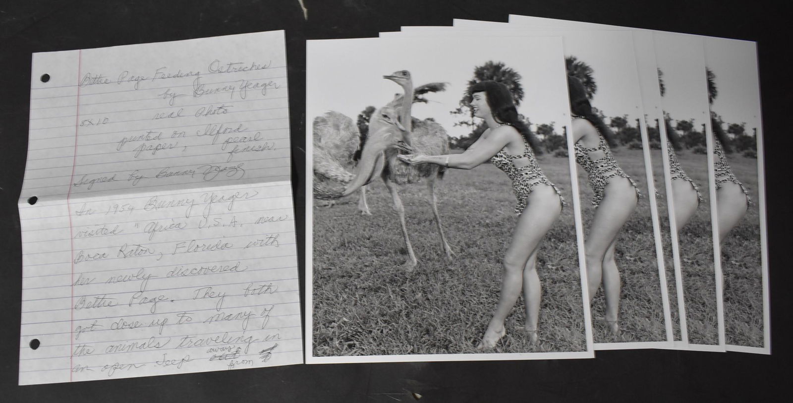 (5) 8x10 Photos Bettie Page . (1 of 1)