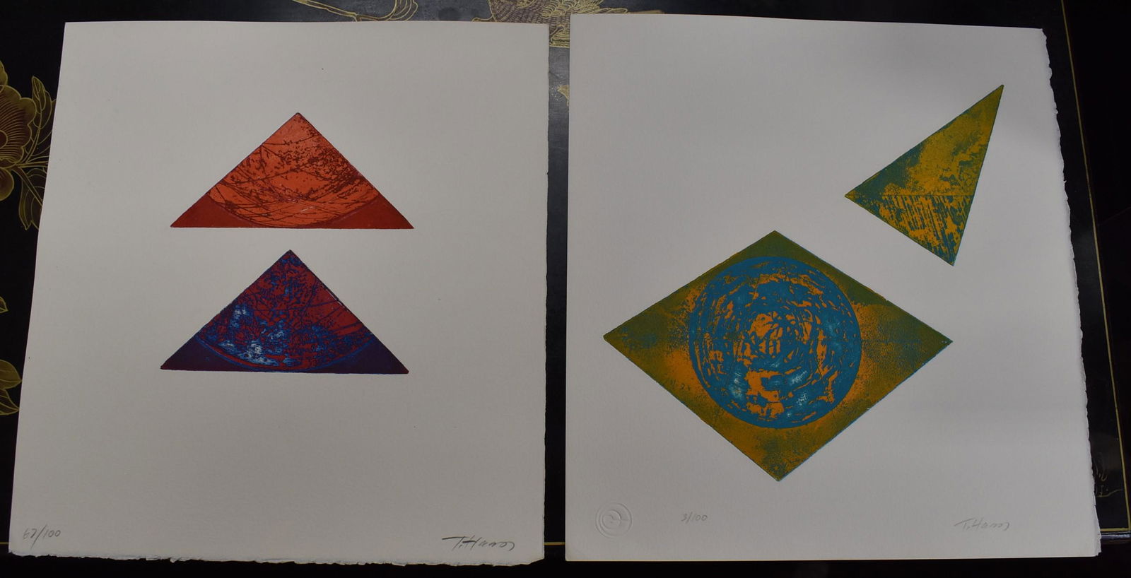 Terry Haas Lithos Sgd. (2) (1 of 4)