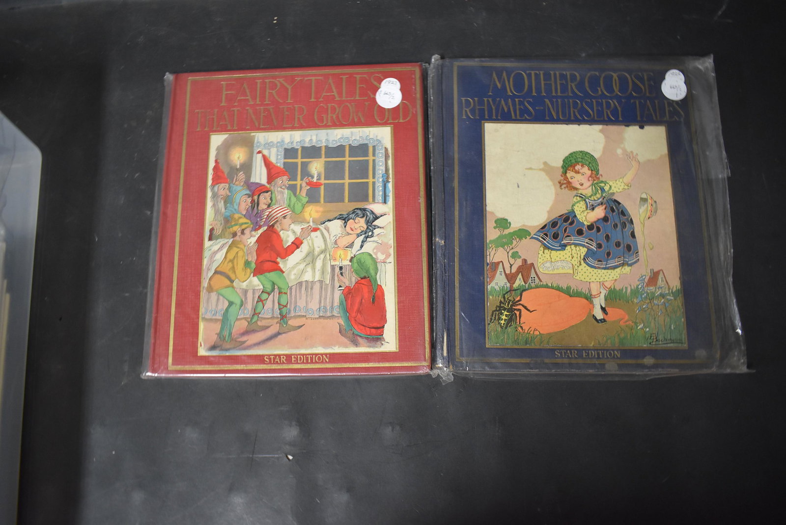 Antique Children's Books Inc. Mother Goose C. 1920s: Mother Goose, 1922 and Fairy Tales, 1927. Both Star editions, hardcover.