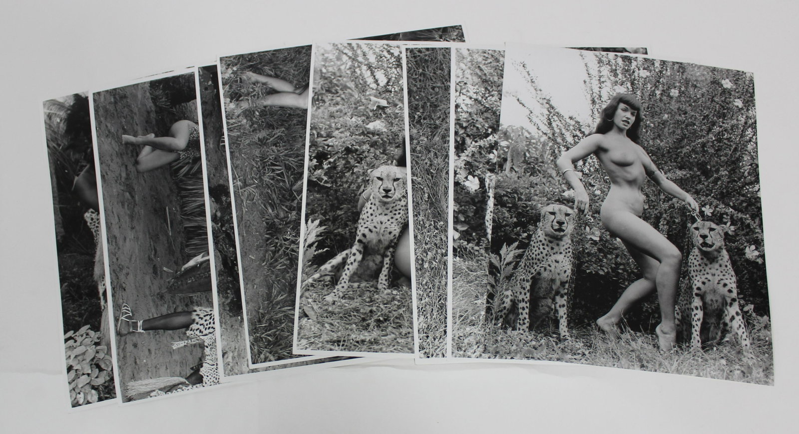 (8) 11x14 Photos Bettie Page Jungle Land.: (8) 11x14 Double Stock Photos. Bettie Page in Jungle Land.