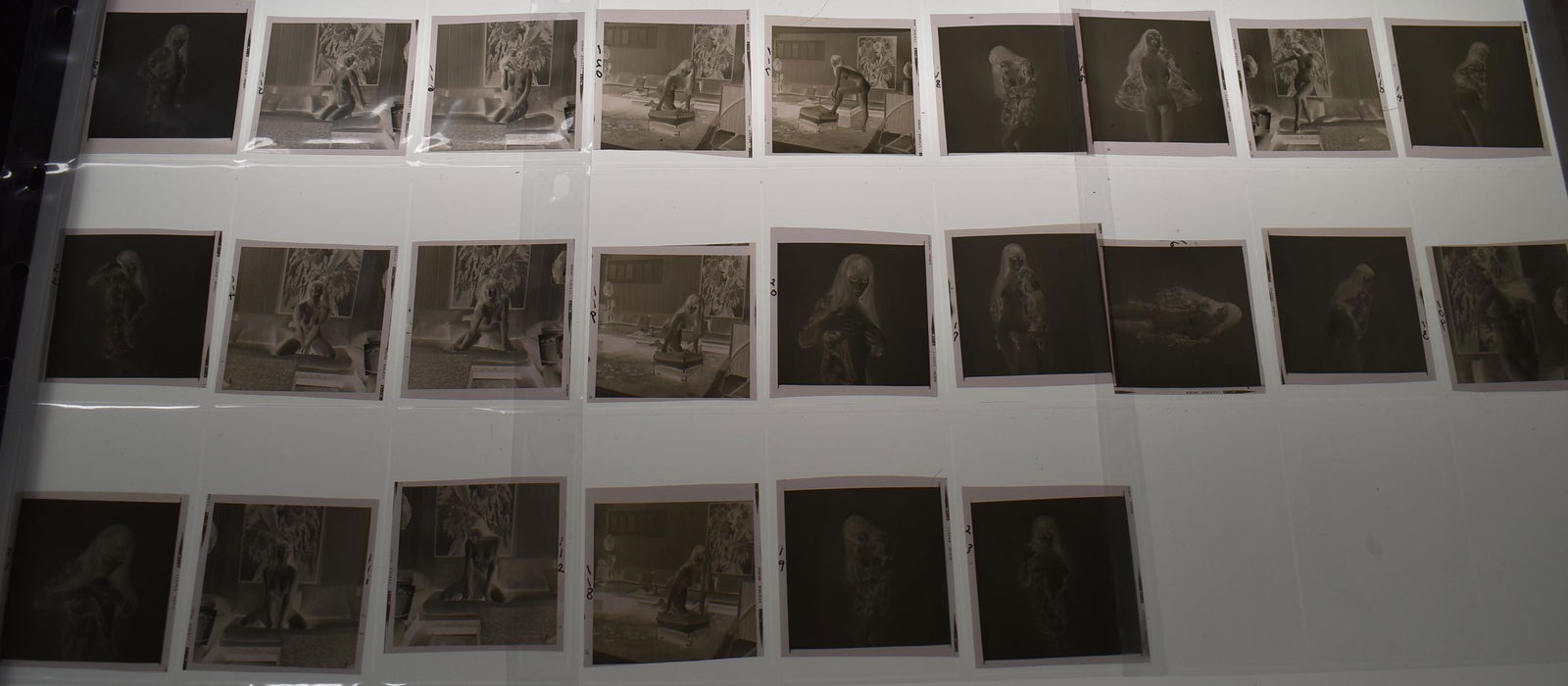 (24) Negatives. Model Nicole Vadim (1 of 2)