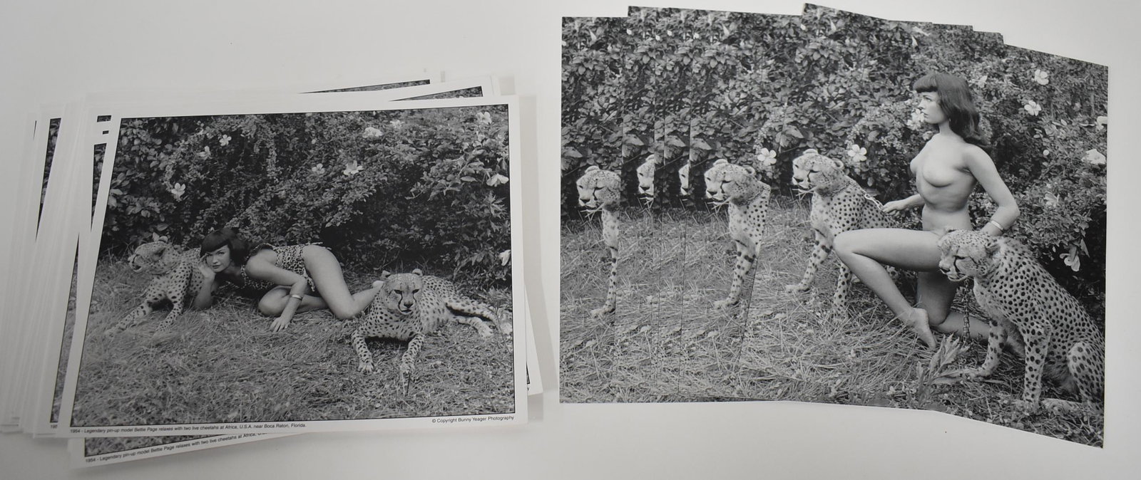 (26) Photos Bettie Page: 8x10 (26) Photos Bettie Page In Jungle Land. (2) Different Poses.