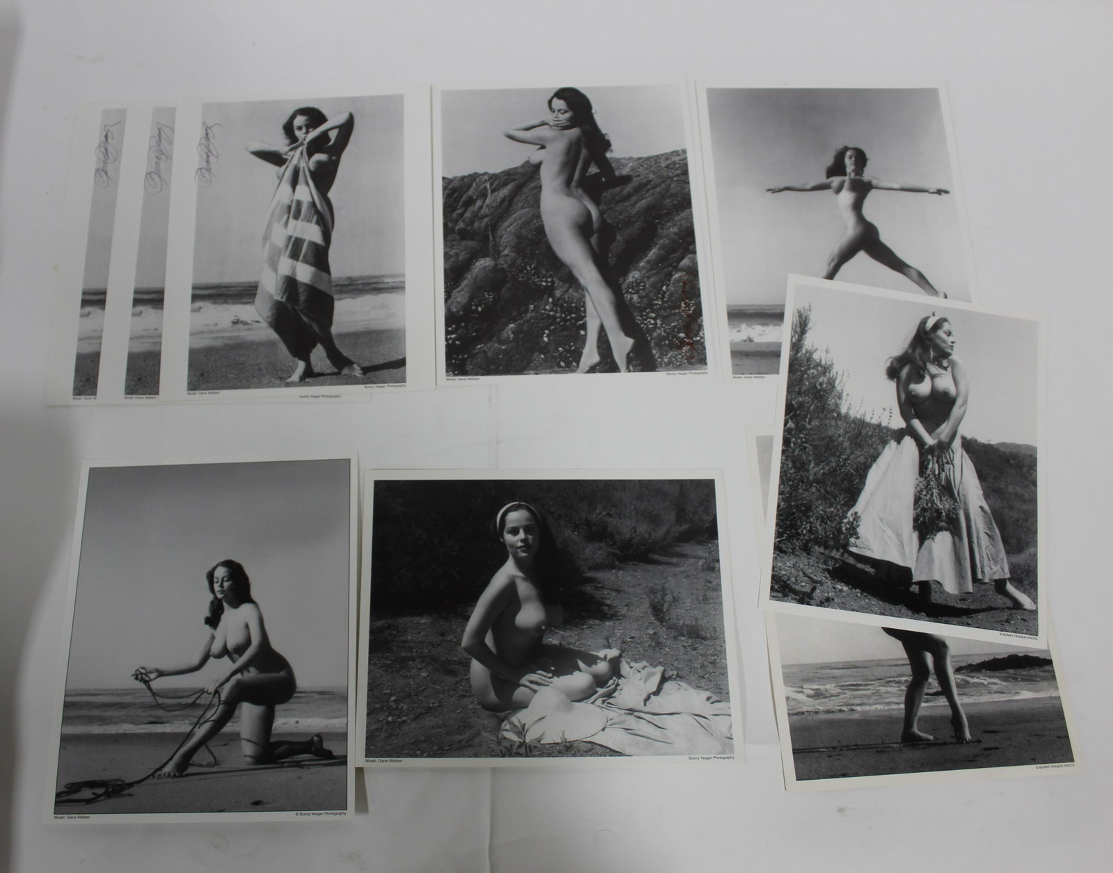 (25)+ Photos 8x10.: 8x10 Double Stock. Diane Webber (7) Different Poses. (3) Sgd. Bunny Yeager.