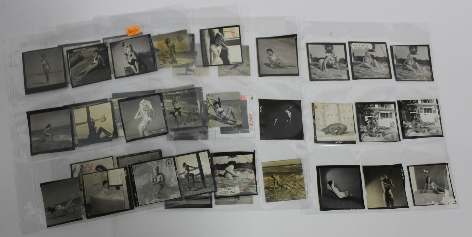 (45) 3x3 Contact Photos (1 of 4)