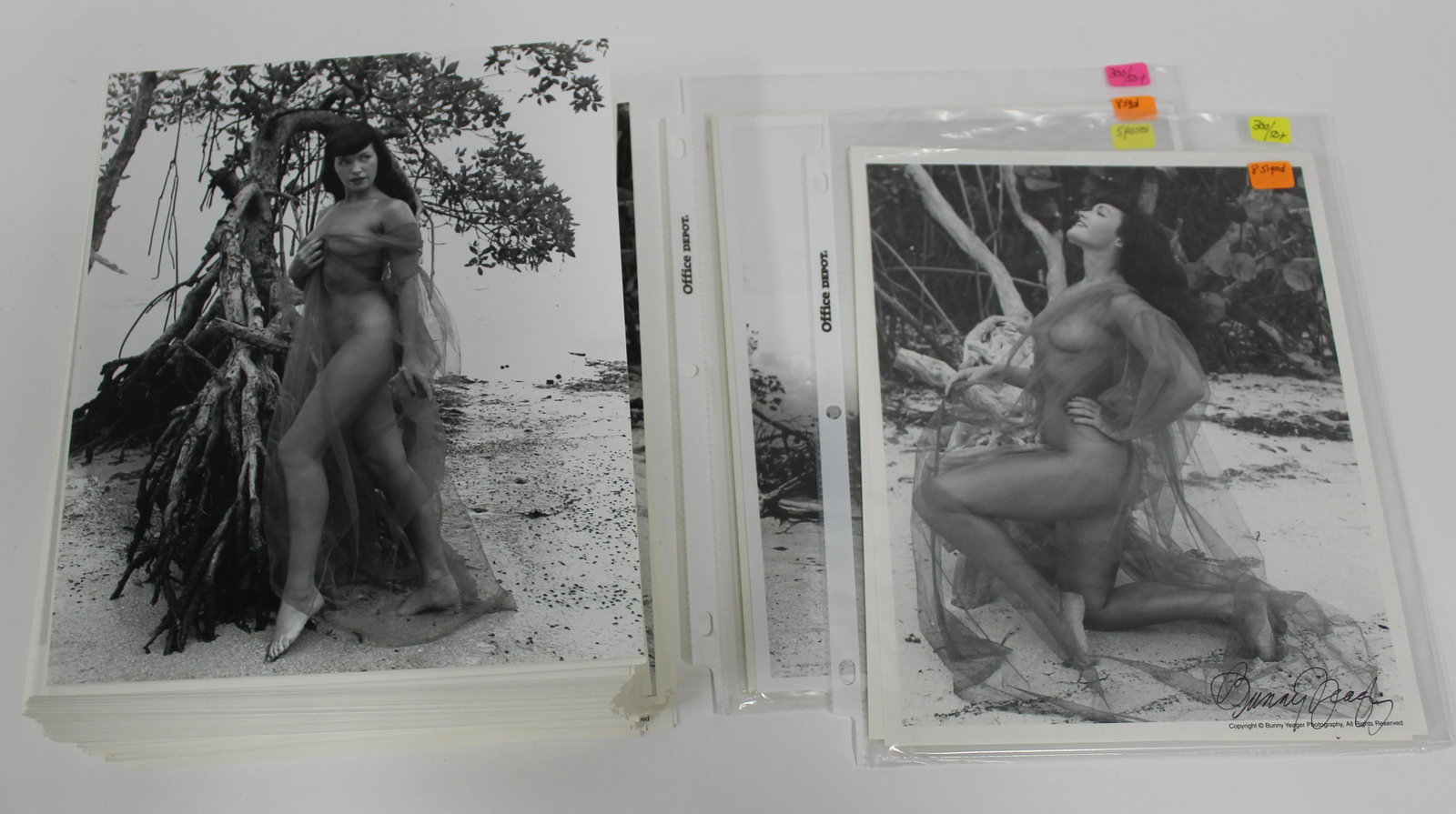 (175)+ 8x10 Photos. Eight are signed: 8x10 Double Stock. (175)+ Sheer Bettie Page. (8) Sgd. Bunny Yeager.(5) Poses.