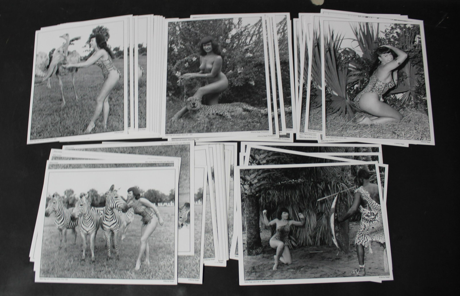 (25)+ Photos 8x10. Bettie Page In Jungle Land.: 8x10 Double Stock. (25)+ Photos (5) Different Poses. Bettie Page in Jungle Land.