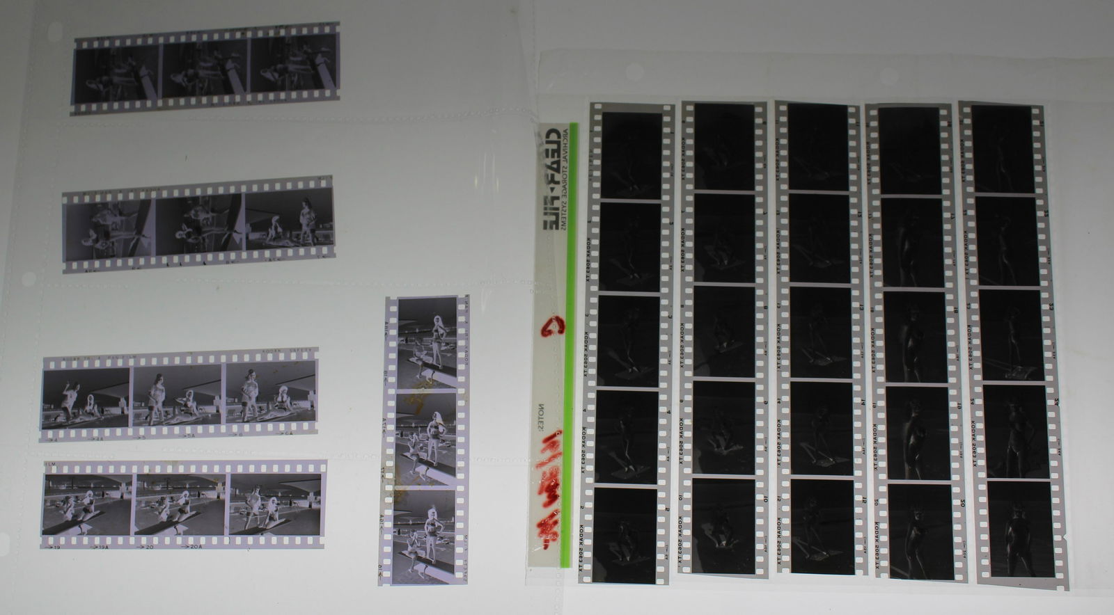 B&W (40) Images. (10) Negative Strips (1 of 5)