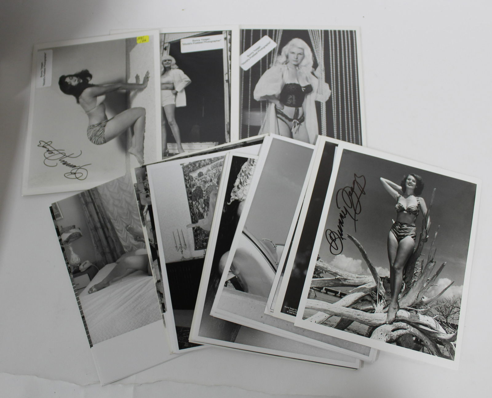 (66) 8x10 Photos (4) Sgd. (1 of 6)