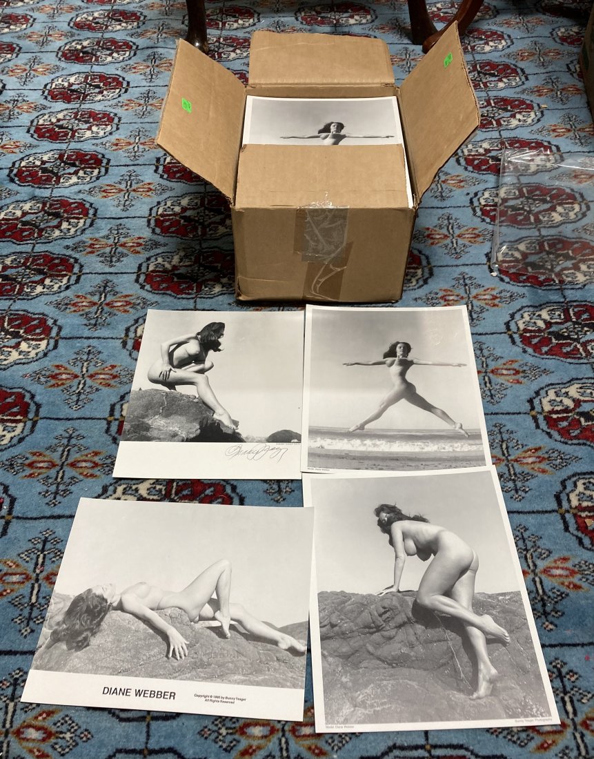 (200)+ 8x10 Photos Model Diane Webber.: 8x10 Double Stock.(200)+ Phtos Diane Webber. (3) Different Poses. (1) Sgd. Bunny Yeager.