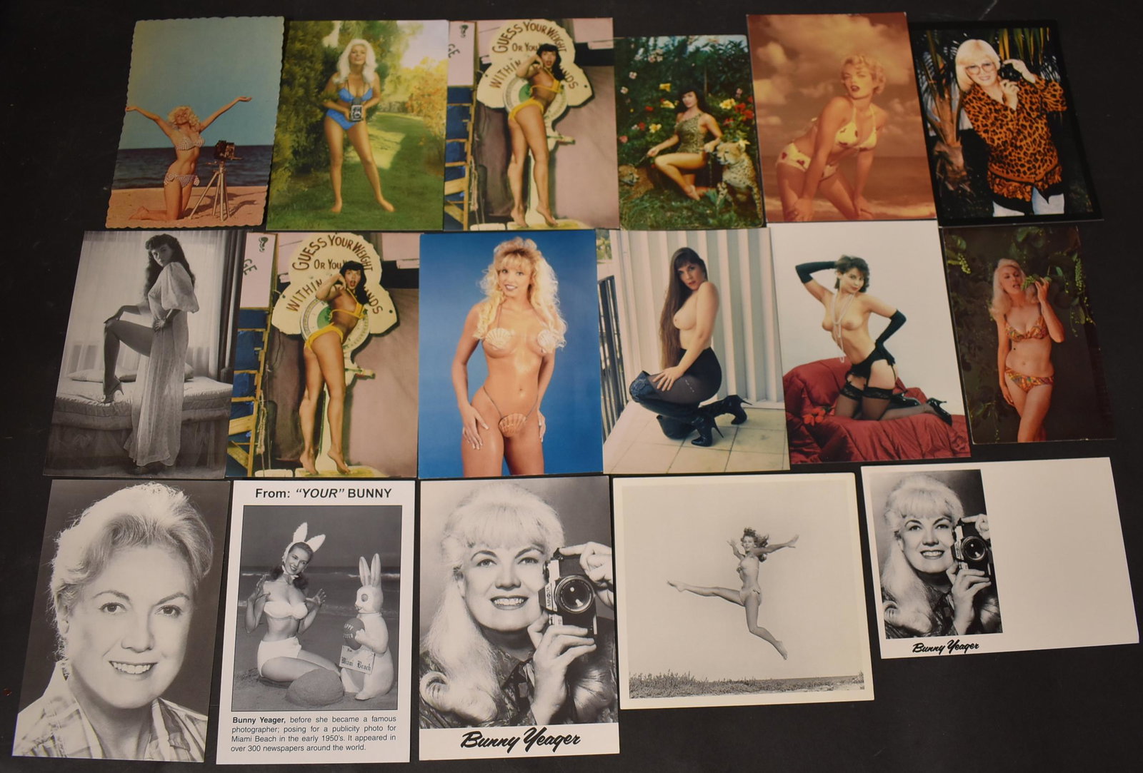 (200)+ Post Cards: (17) Different Poses, Bunny Yeager Bettie Page, Nicolette York,Jodi Anne Bowlin, Crystal Lamb