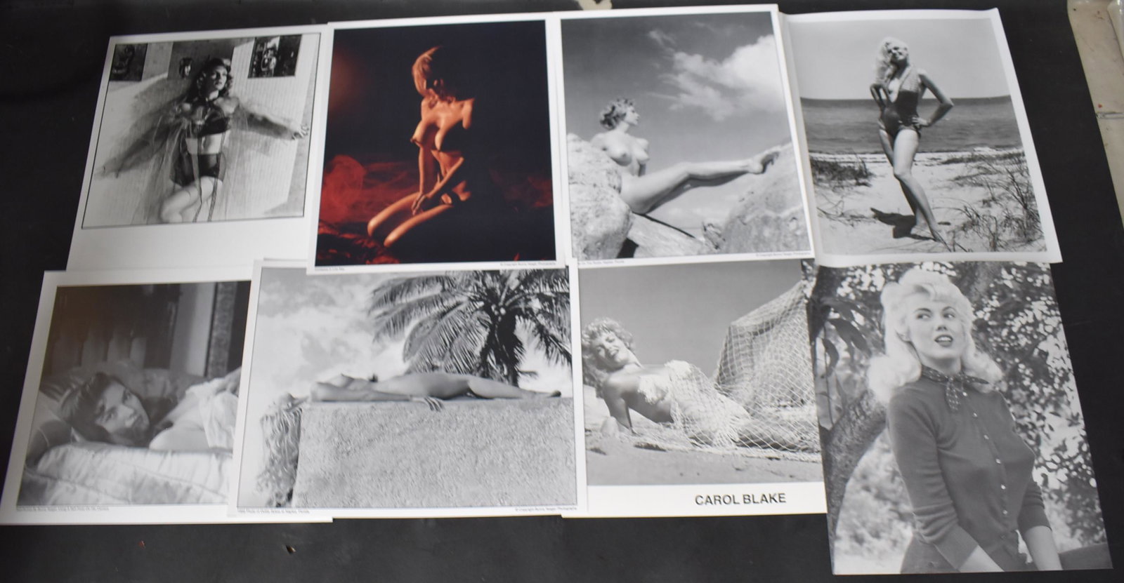 (200)+ Photos 8x10: 8x10 Double Stock. (200)+ Models Include: Dottie Styles, Nude on Rocks, Contessa in Low Key,Carol Black, Bunny Yeager. (10) Different Poses.
