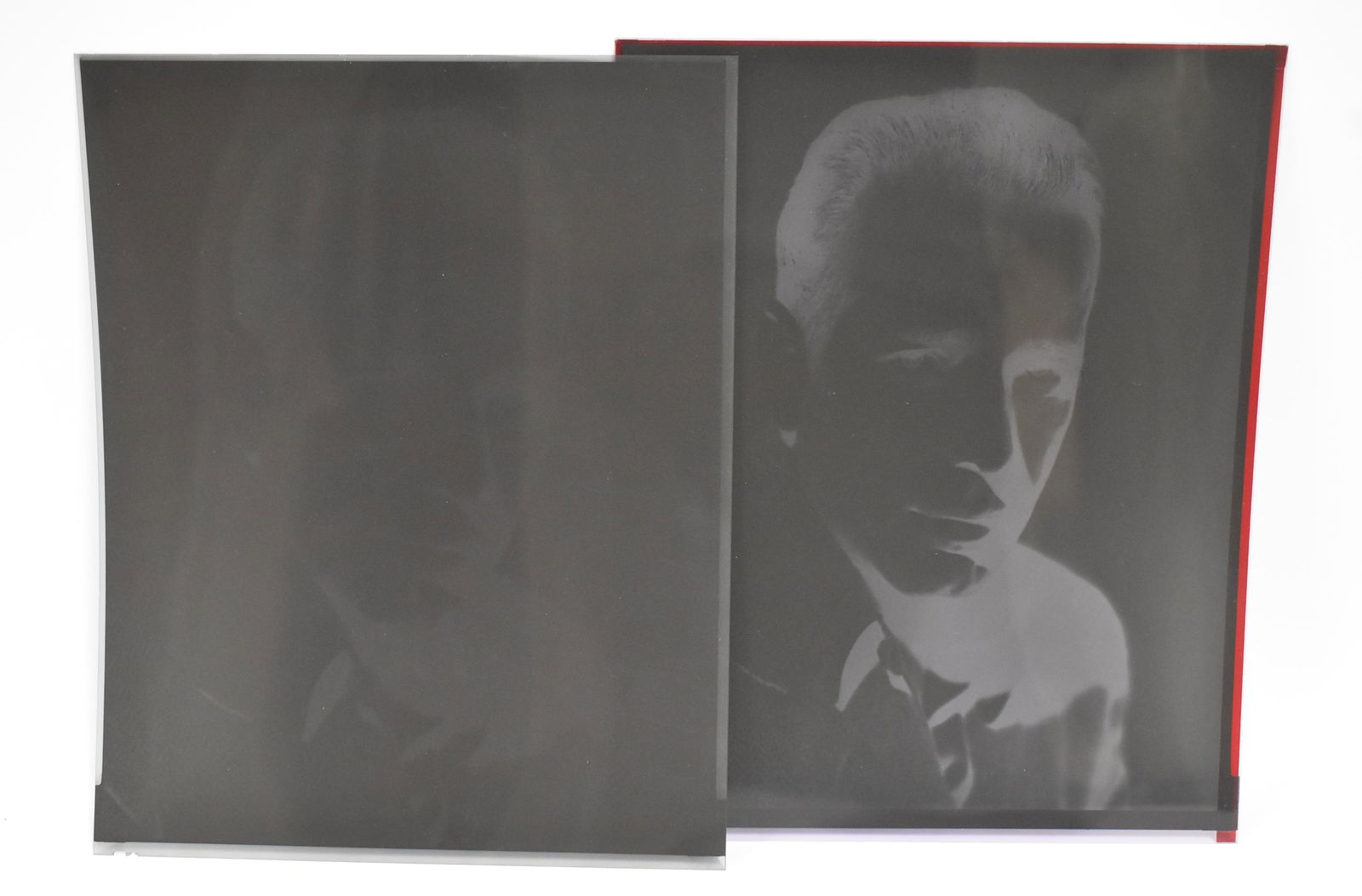 Frank Sinatra Portrait Negatives (2) (1 of 2)