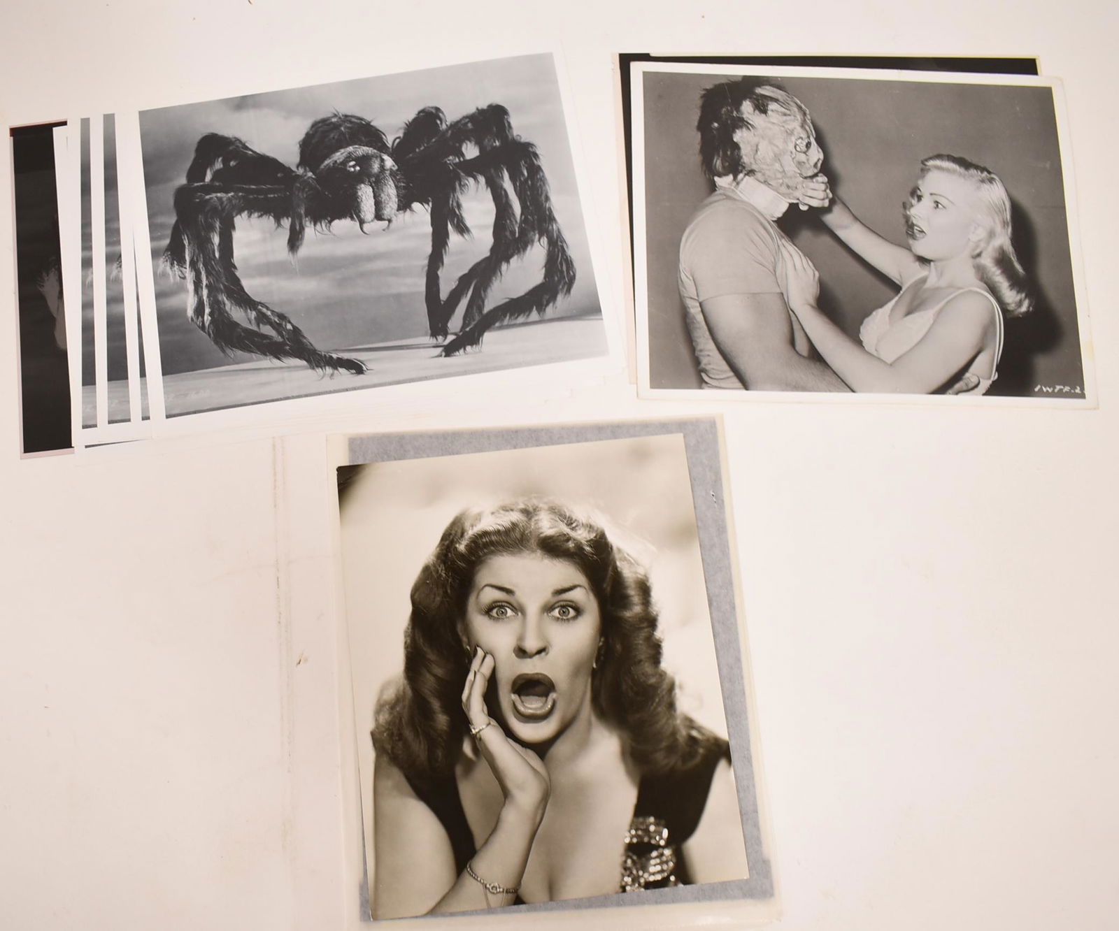 Photographs & the Negatives From Which They Were Made (1 of 1)