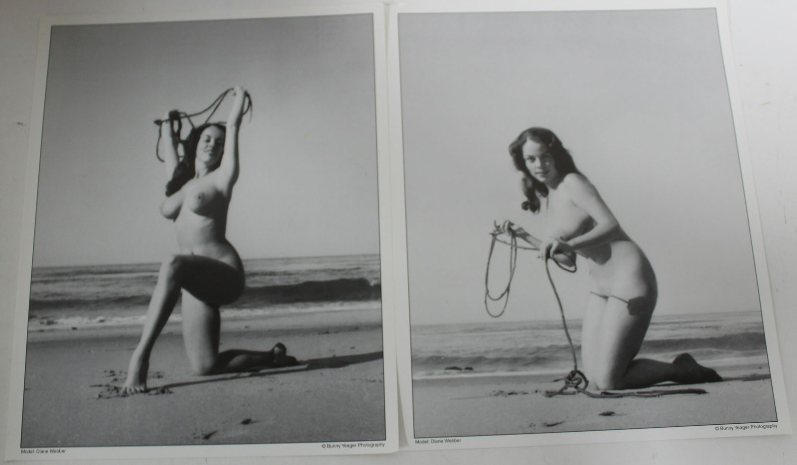 (50)+ Photos. 8x10 Model: Diane Webber (1 of 1)