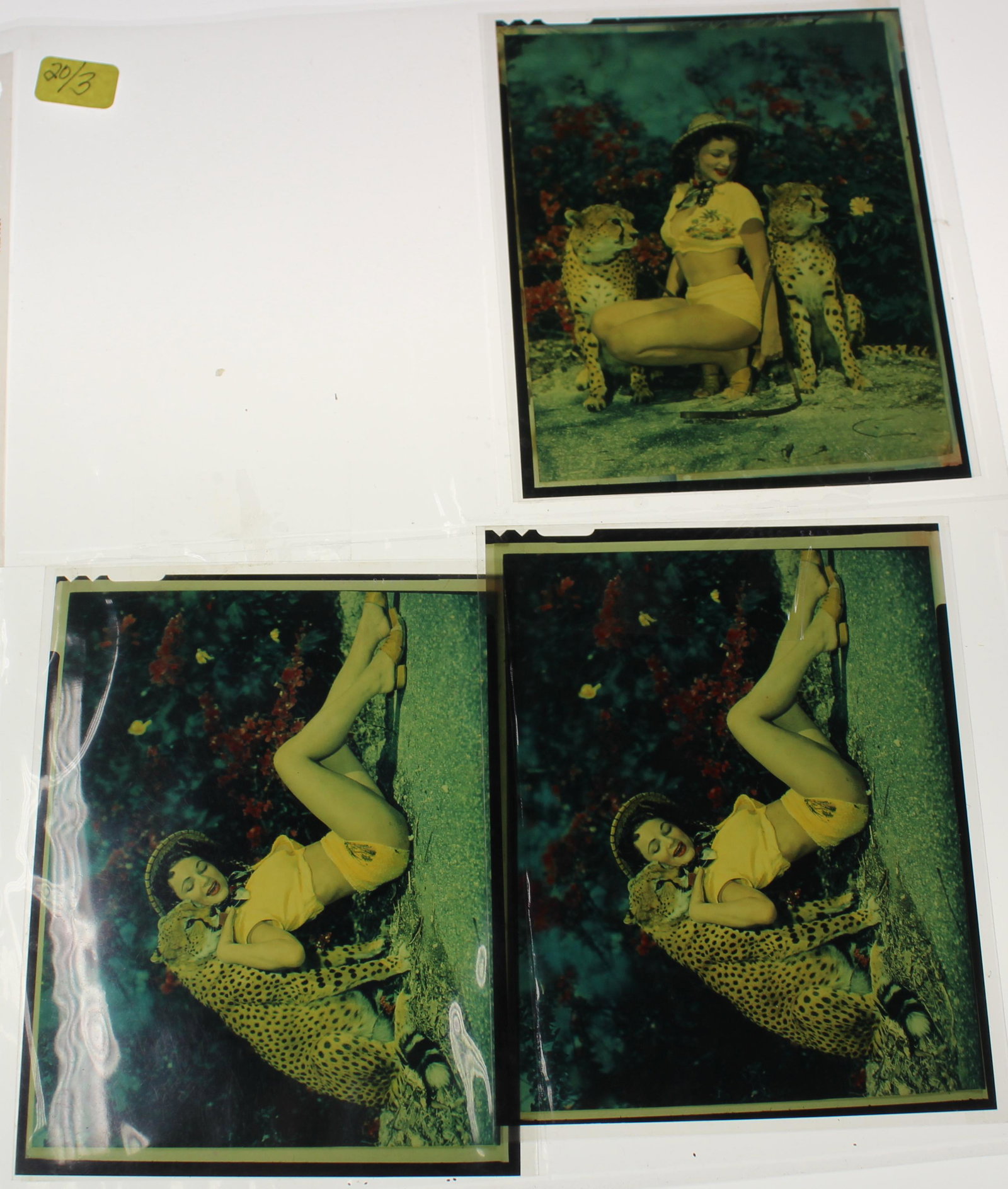 (3) 4x5 Transparencies.: (3) 4x5 Transparencies. Model With Chitta Yvonne Fredricks 1950"s. (3) Different Poses.
