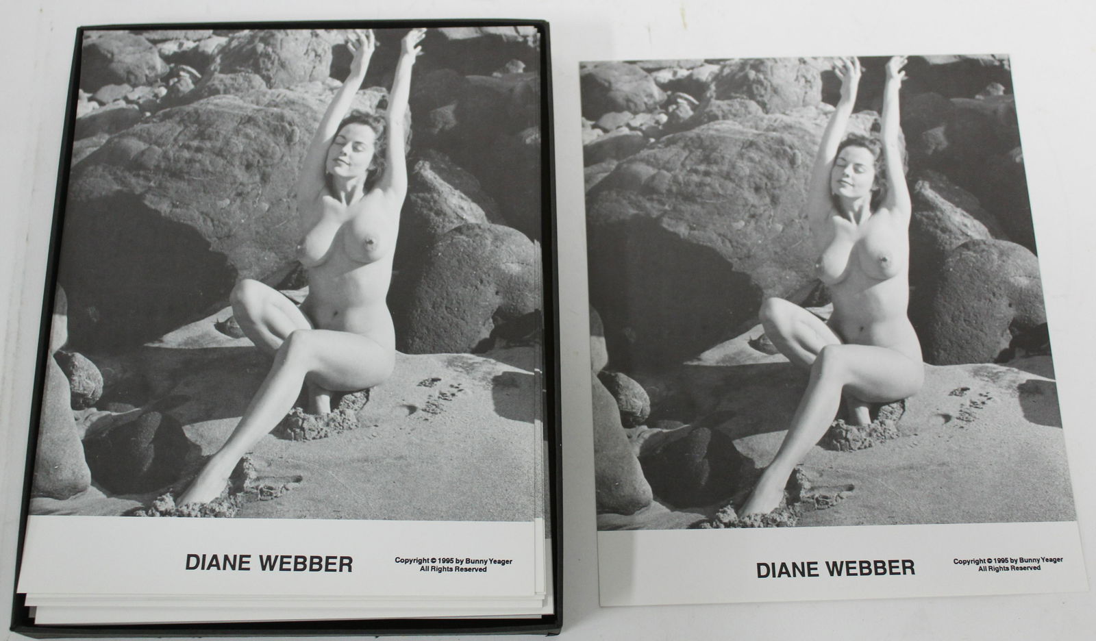 Diane Webber Photos (100) (1 of 1)