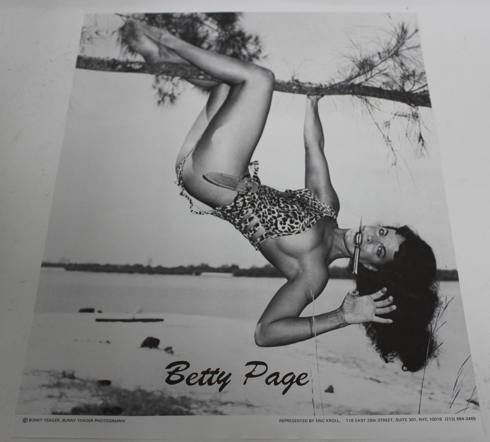 Bettie Page Posters (100+) (1 of 1)