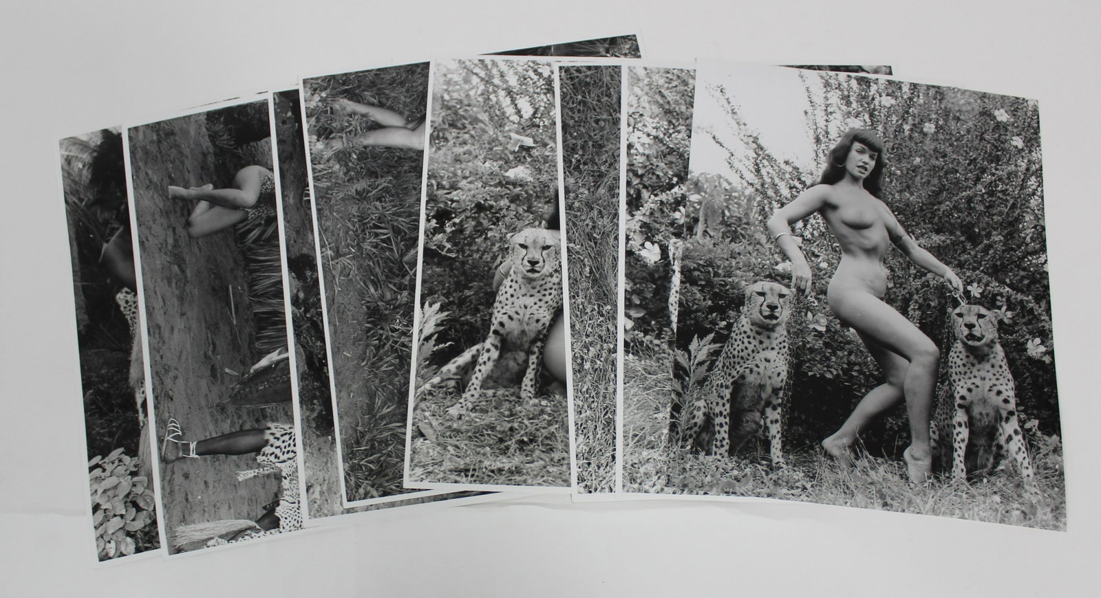 (8) 11x14 Photos Bettie Page Jungle Land.: (8) 11x14 Double Stock Photos. Bettie Page in Jungle Land.