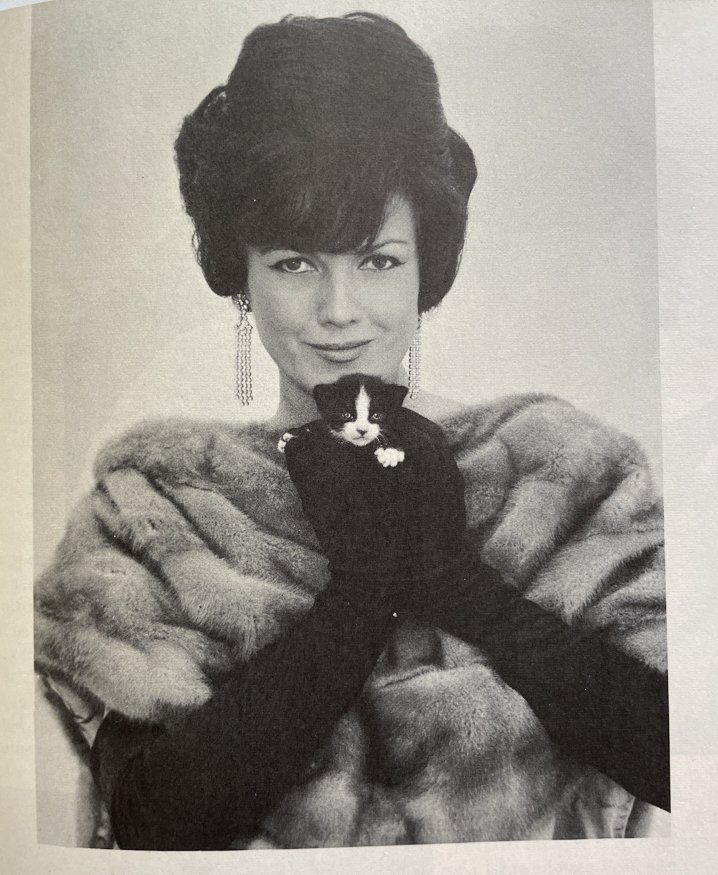 Bunny Yeagers Documented Blond Fur Cape: Worn by Bunny Yeager in one of her super important artistic self portrait photoshoots that got her the museum retrospective at the Andy Warhol museum. Something she won as part of one of her modeling 